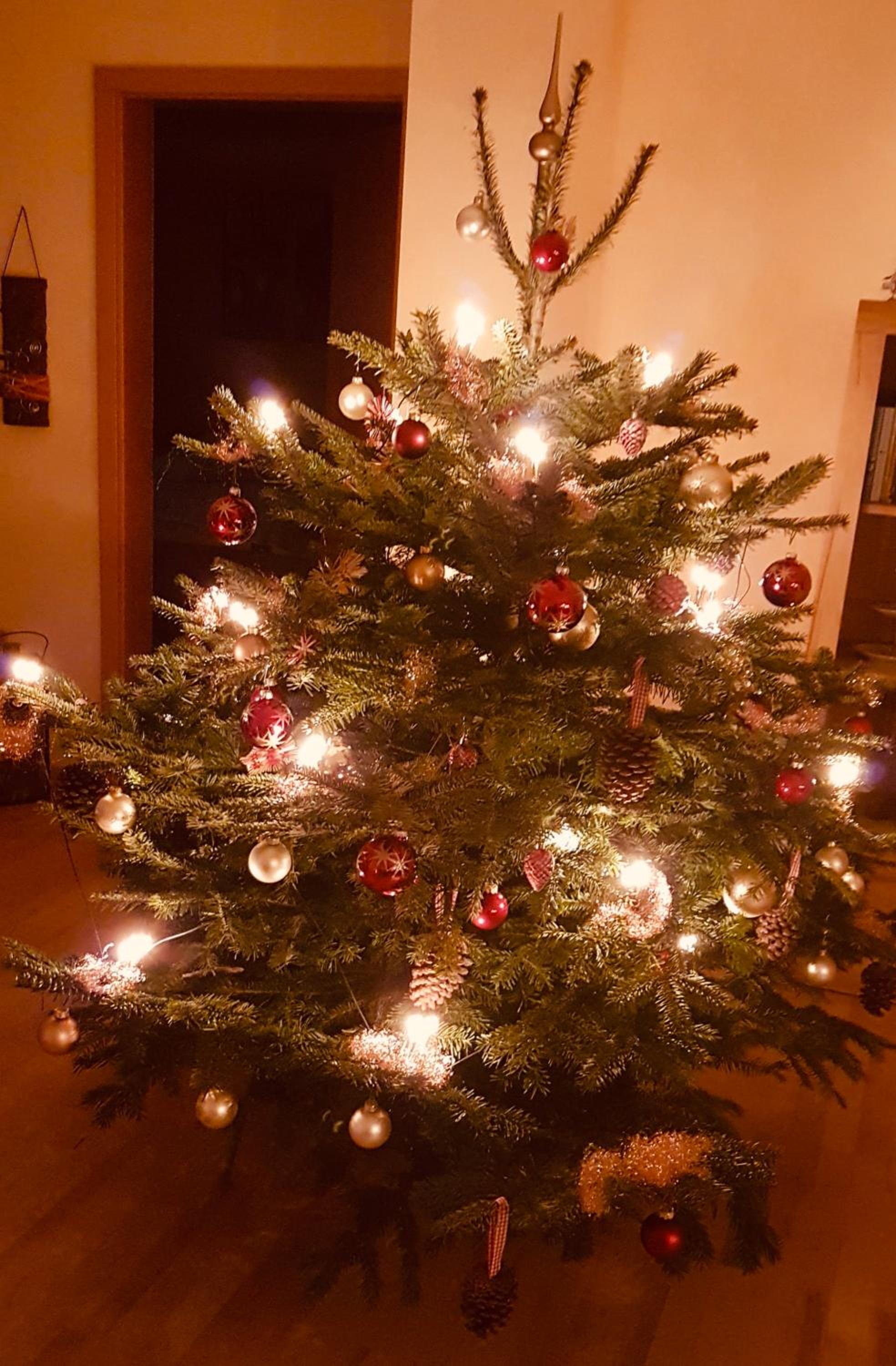 Photo 21