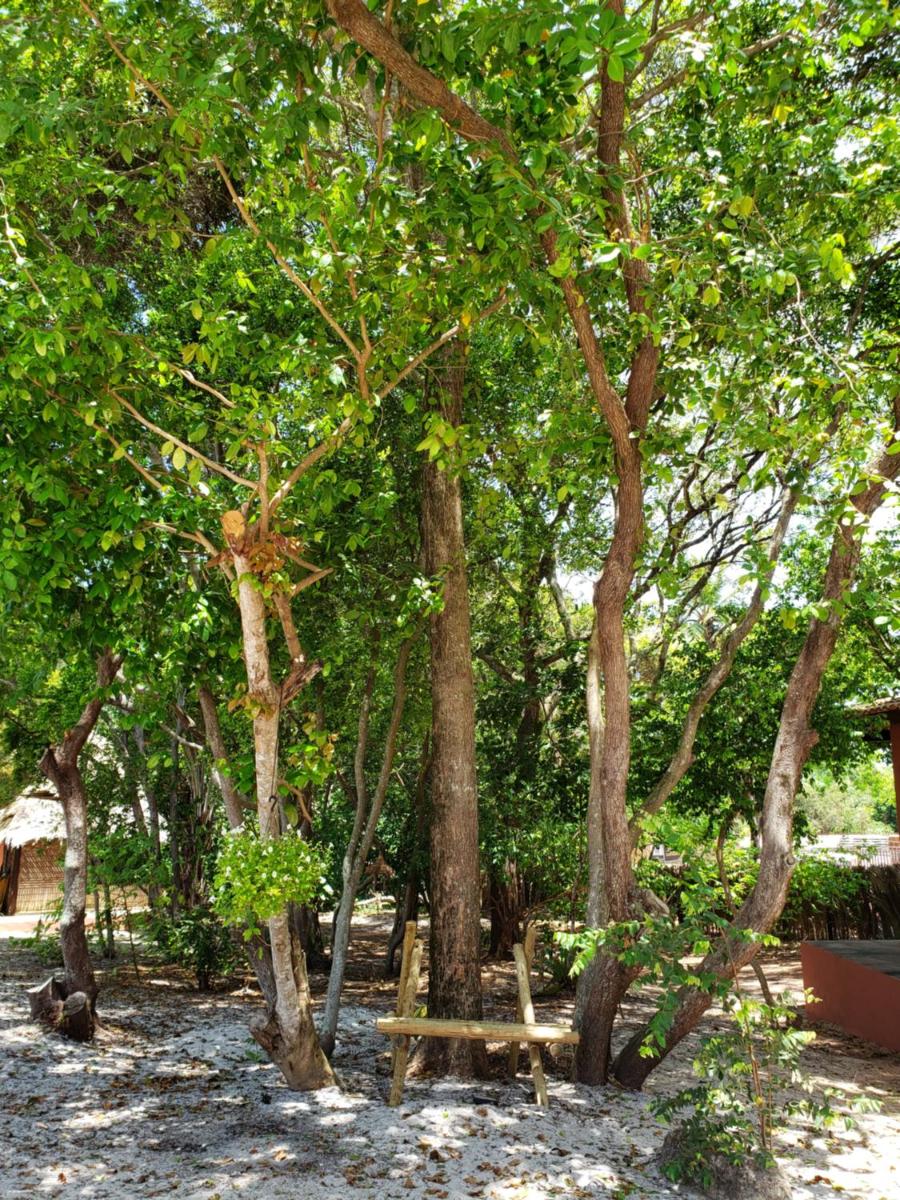 outdoor BBQ area
