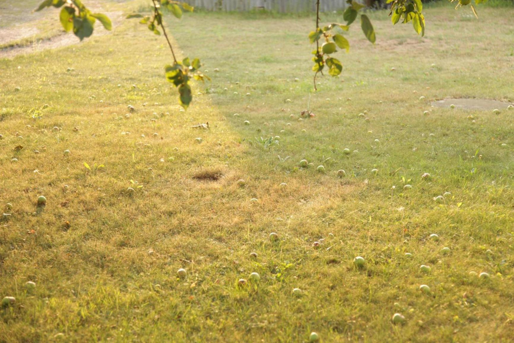 Photo 51