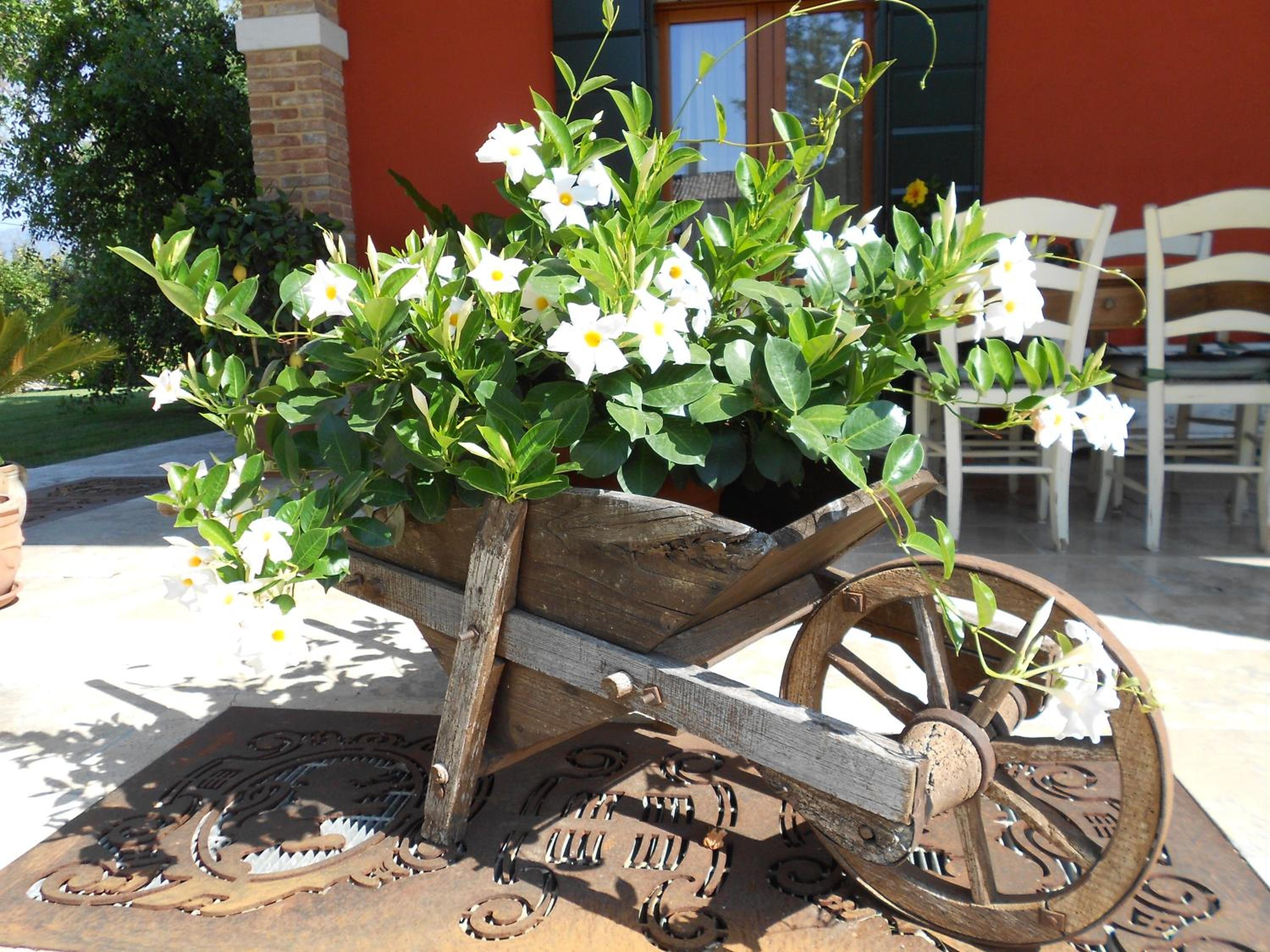 Borgo D'Asolo