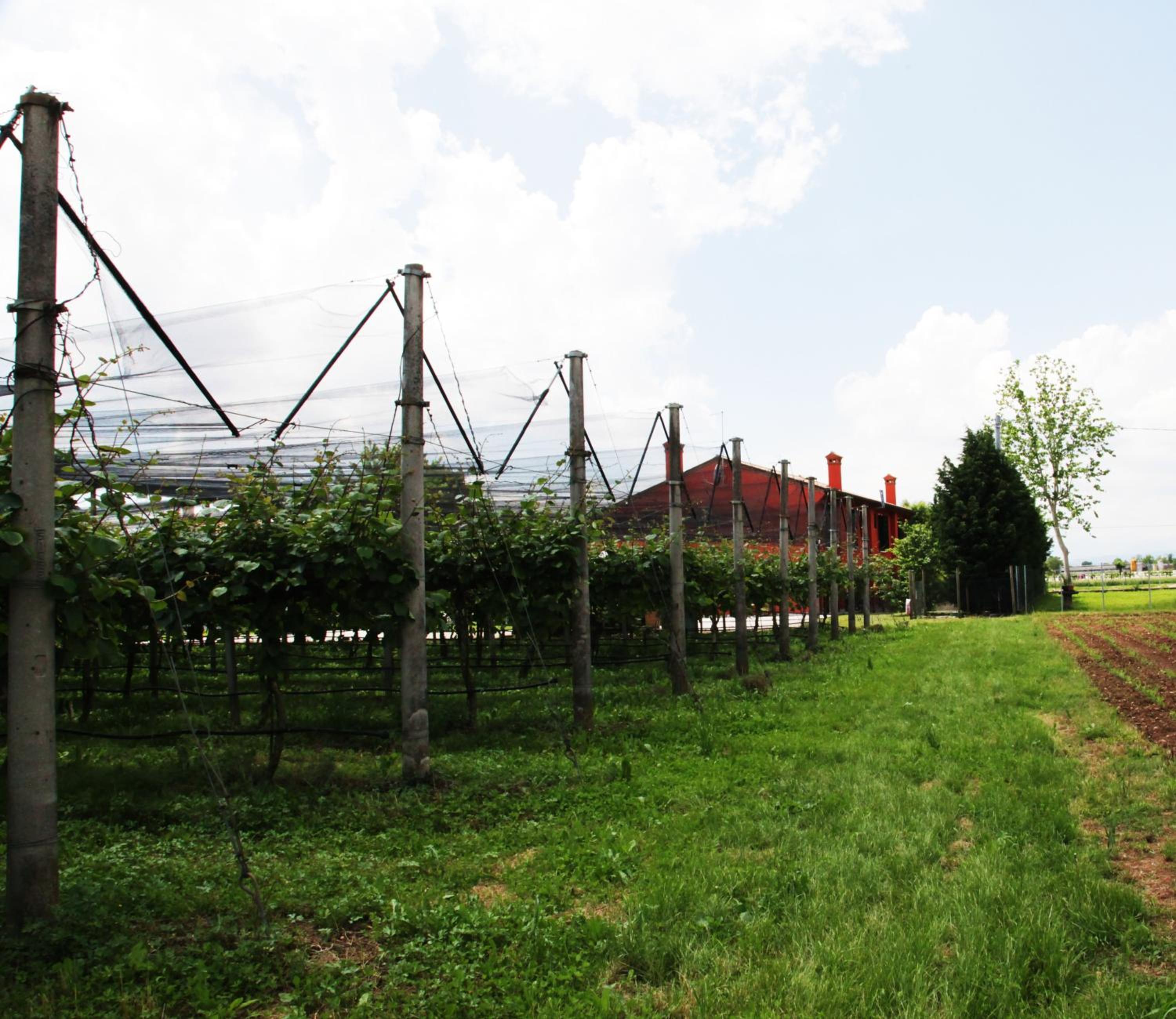 Borgo D'Asolo