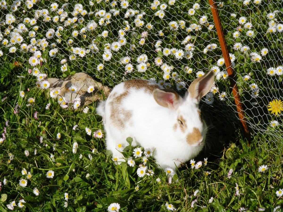 Photo 28