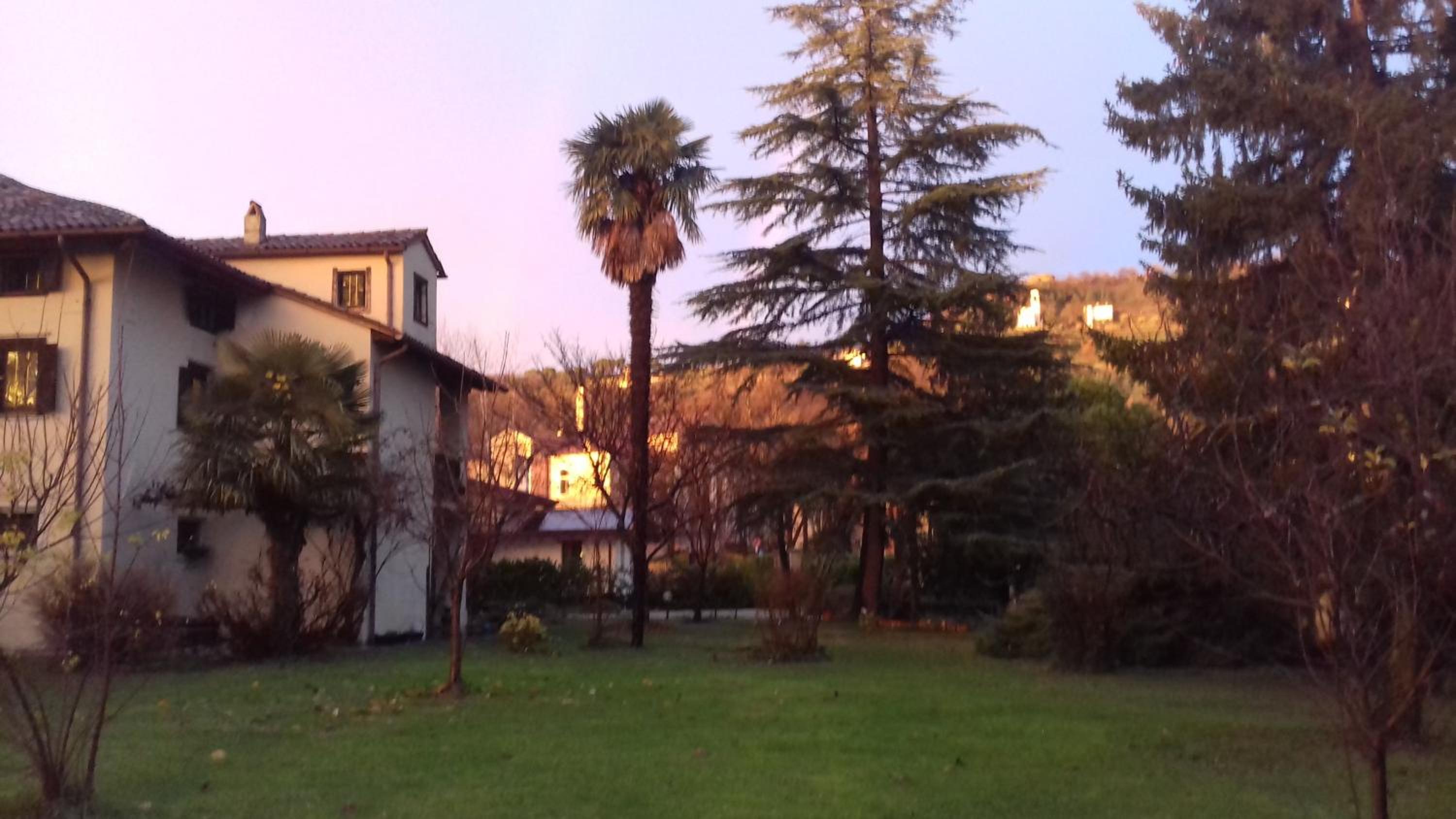 Photo 42