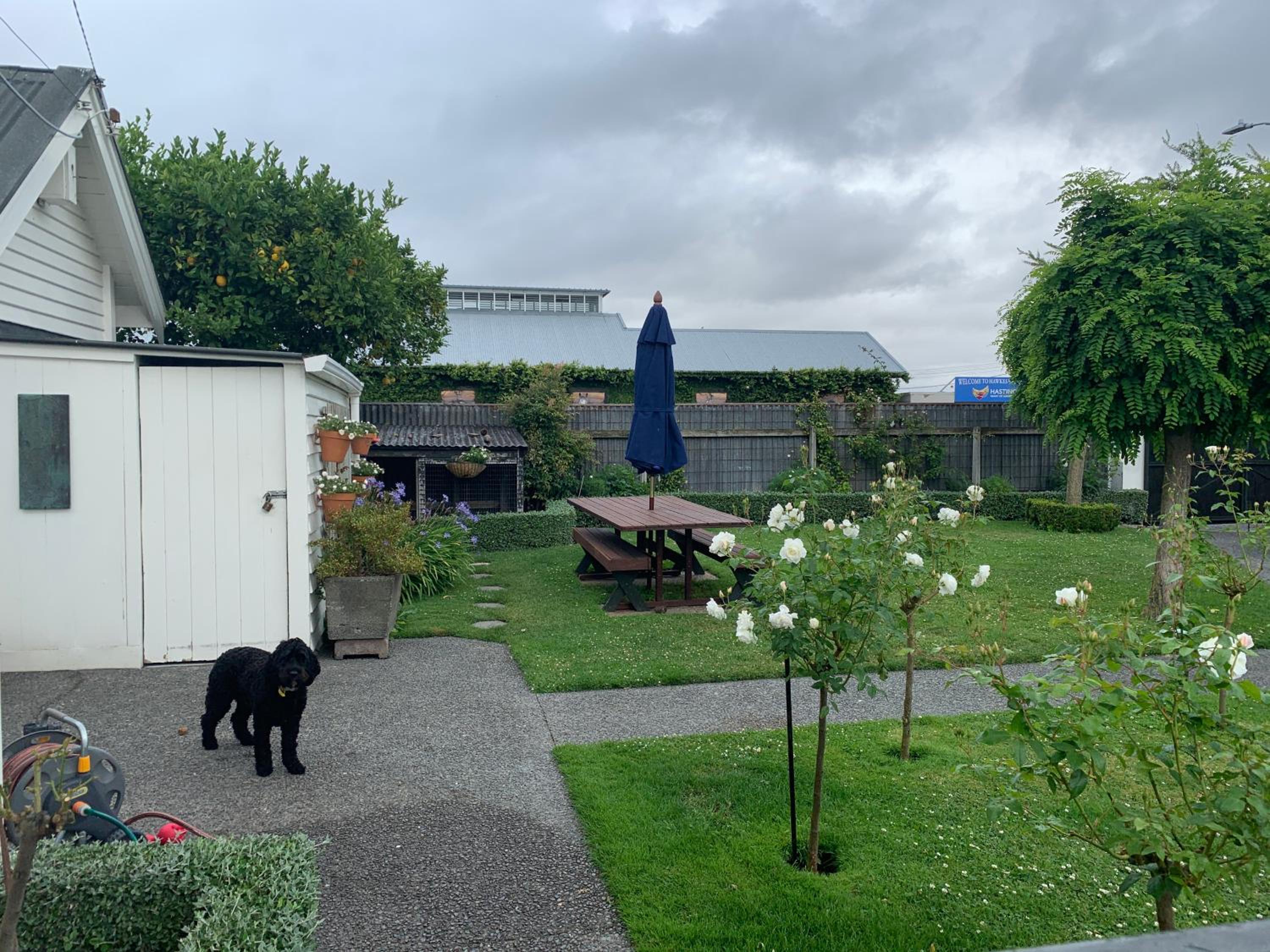 Hawkes Bay Villa-Beechwood