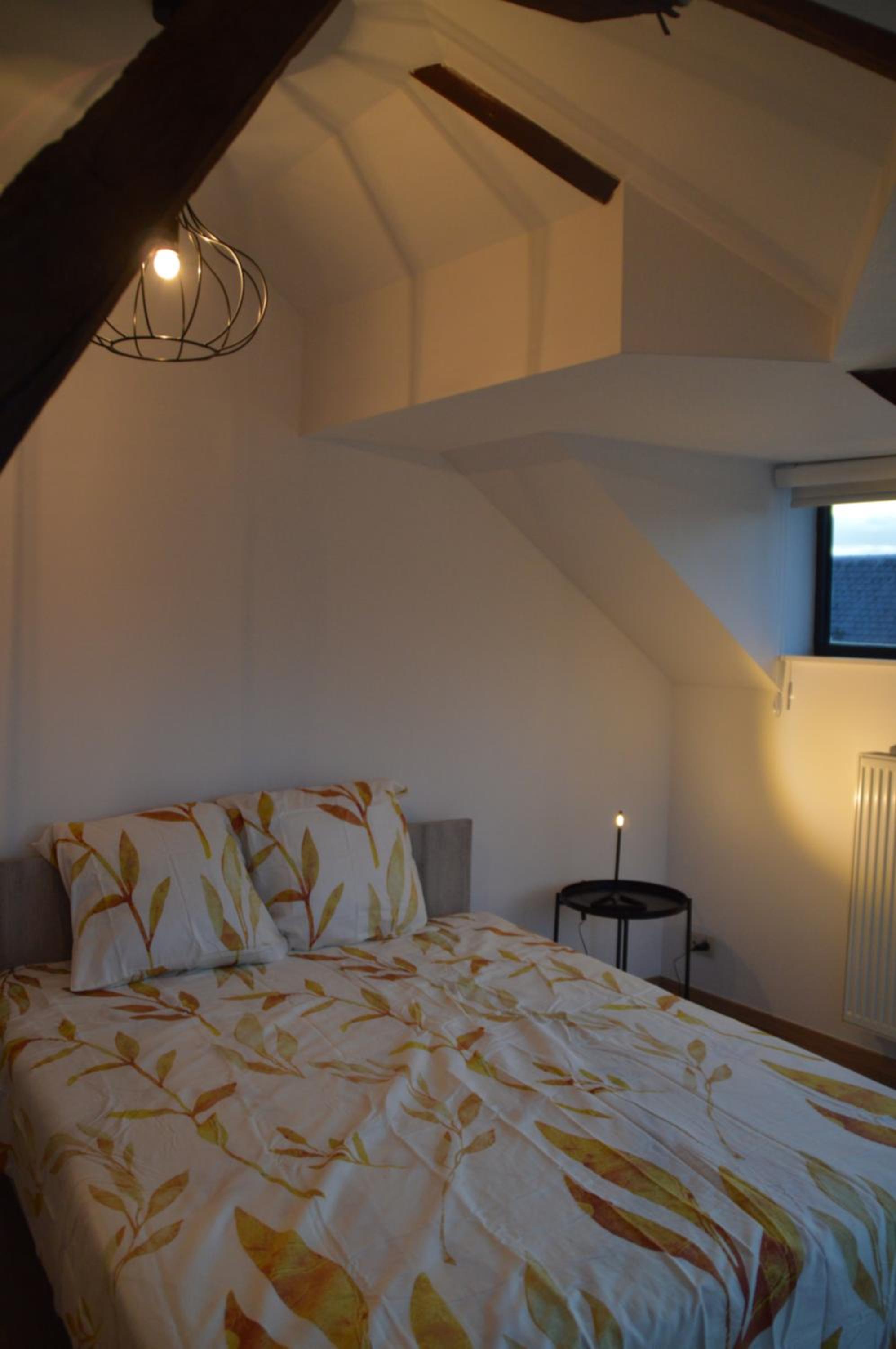 Duplex Apartment in the Heart of Ghent with Fantastic Views view 2