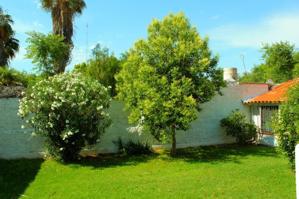 Big beautiful house with garden in 5ta Sección neighbourhood