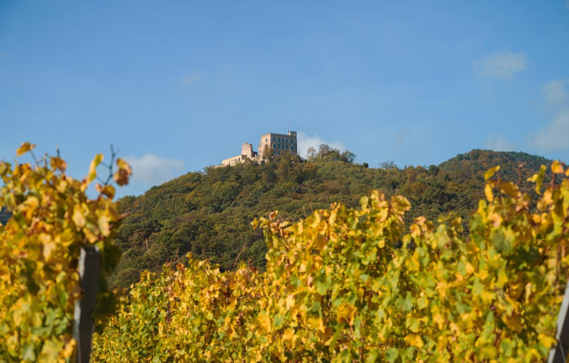 Ferienhaus Weinhäusel