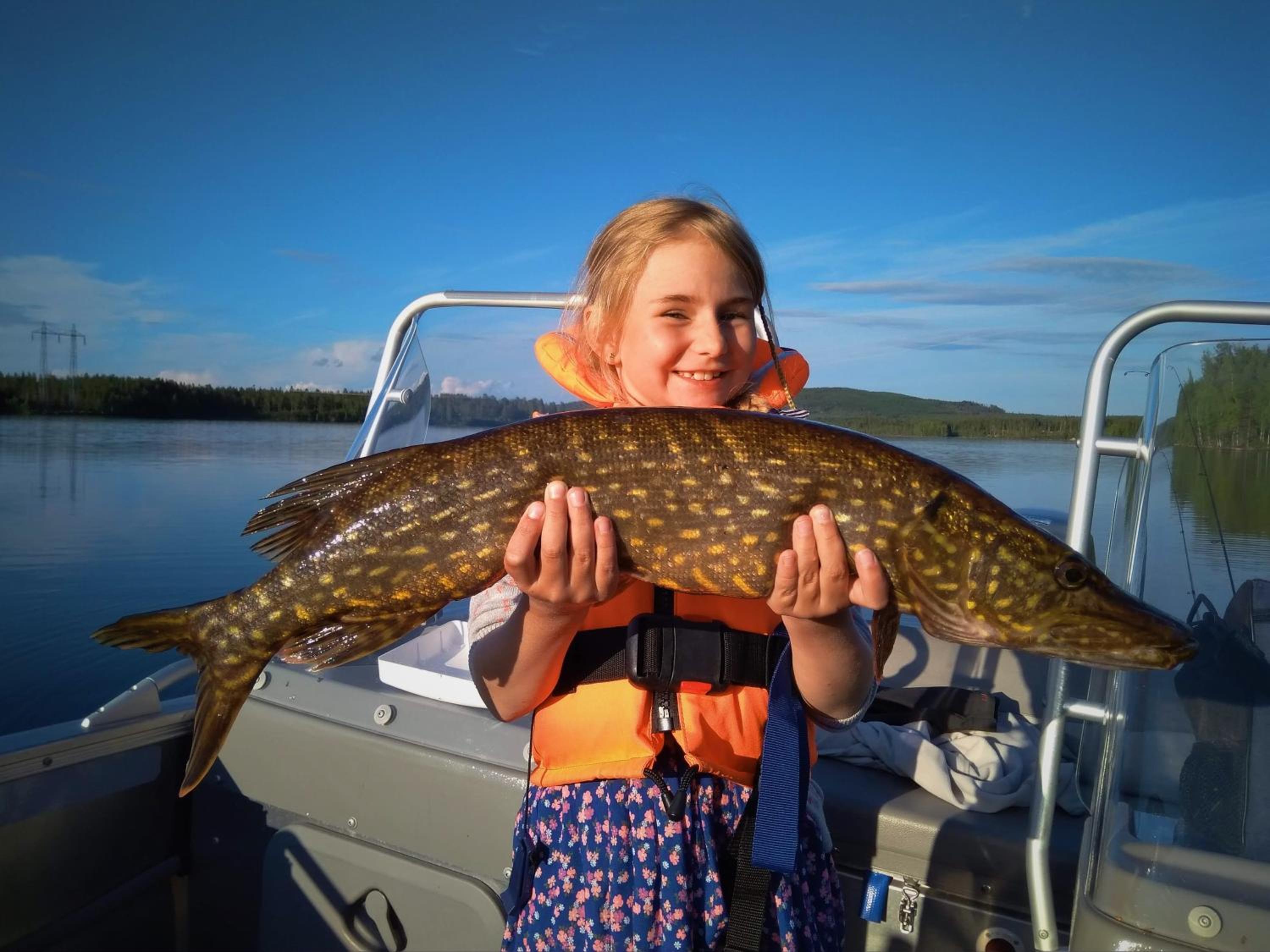 Vildmarks Lodge view 4