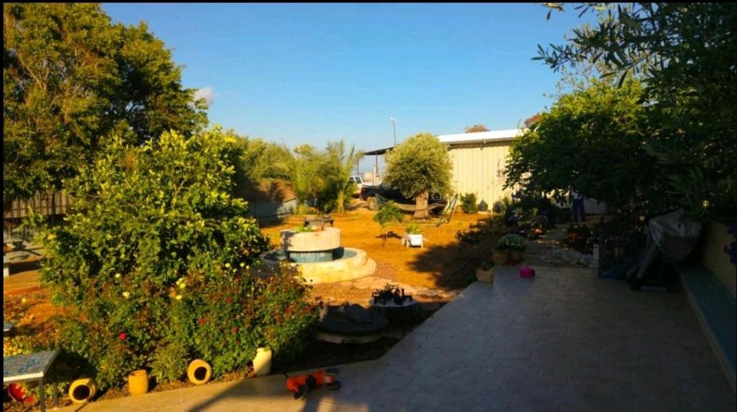 In Tova's Courtyard view 2