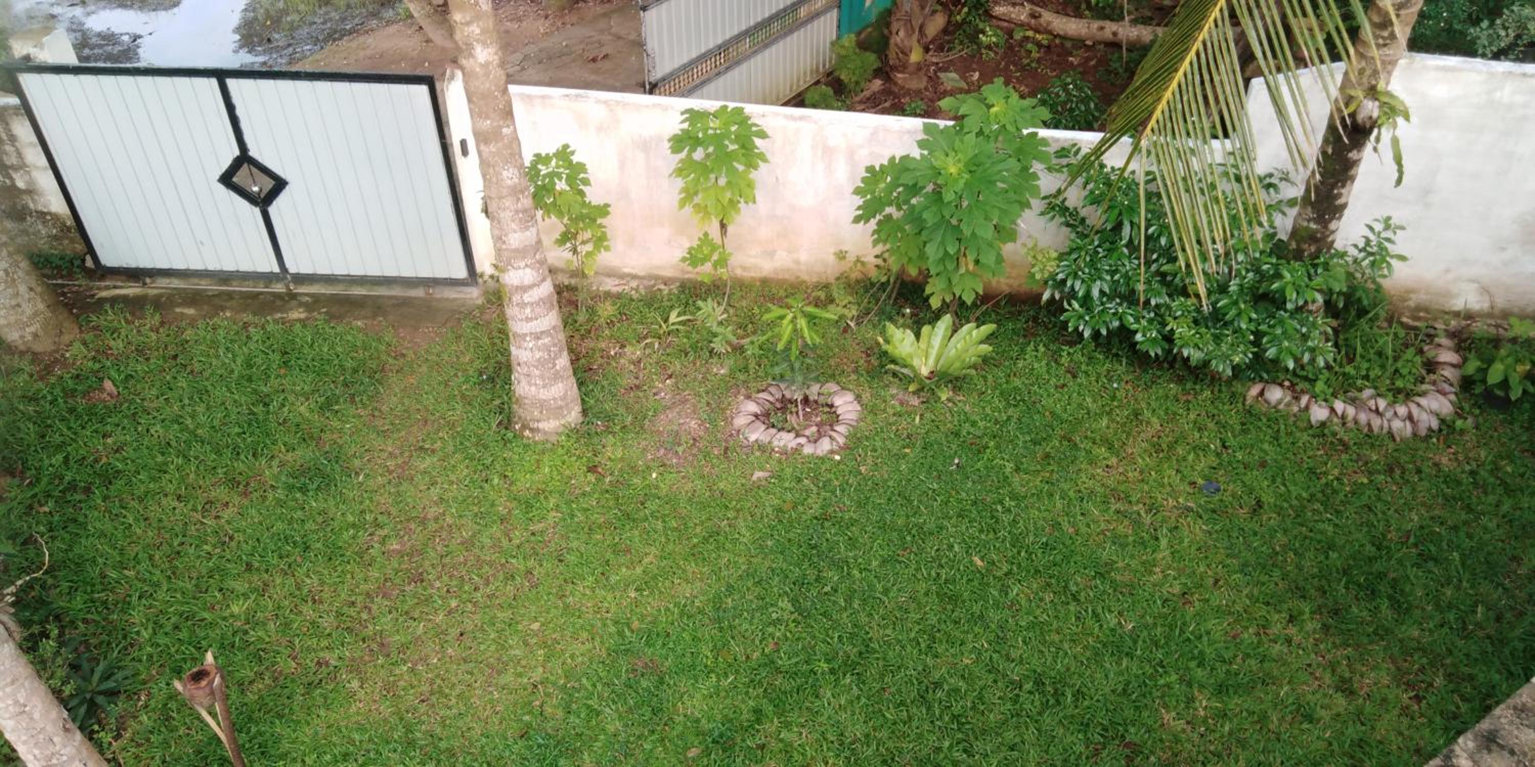 Photo 42