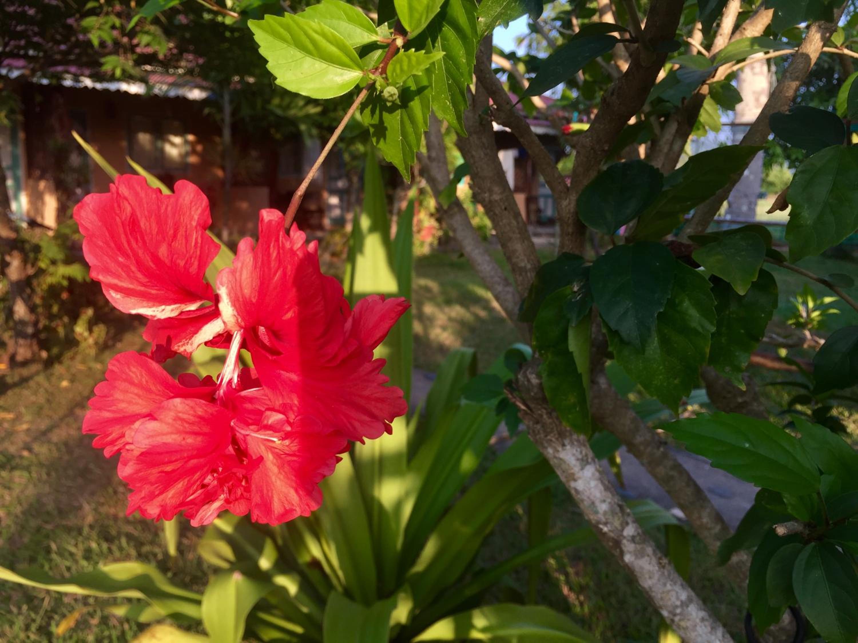 Kota Kinabalu Vacations - Soluna Guest House - Property Image 114