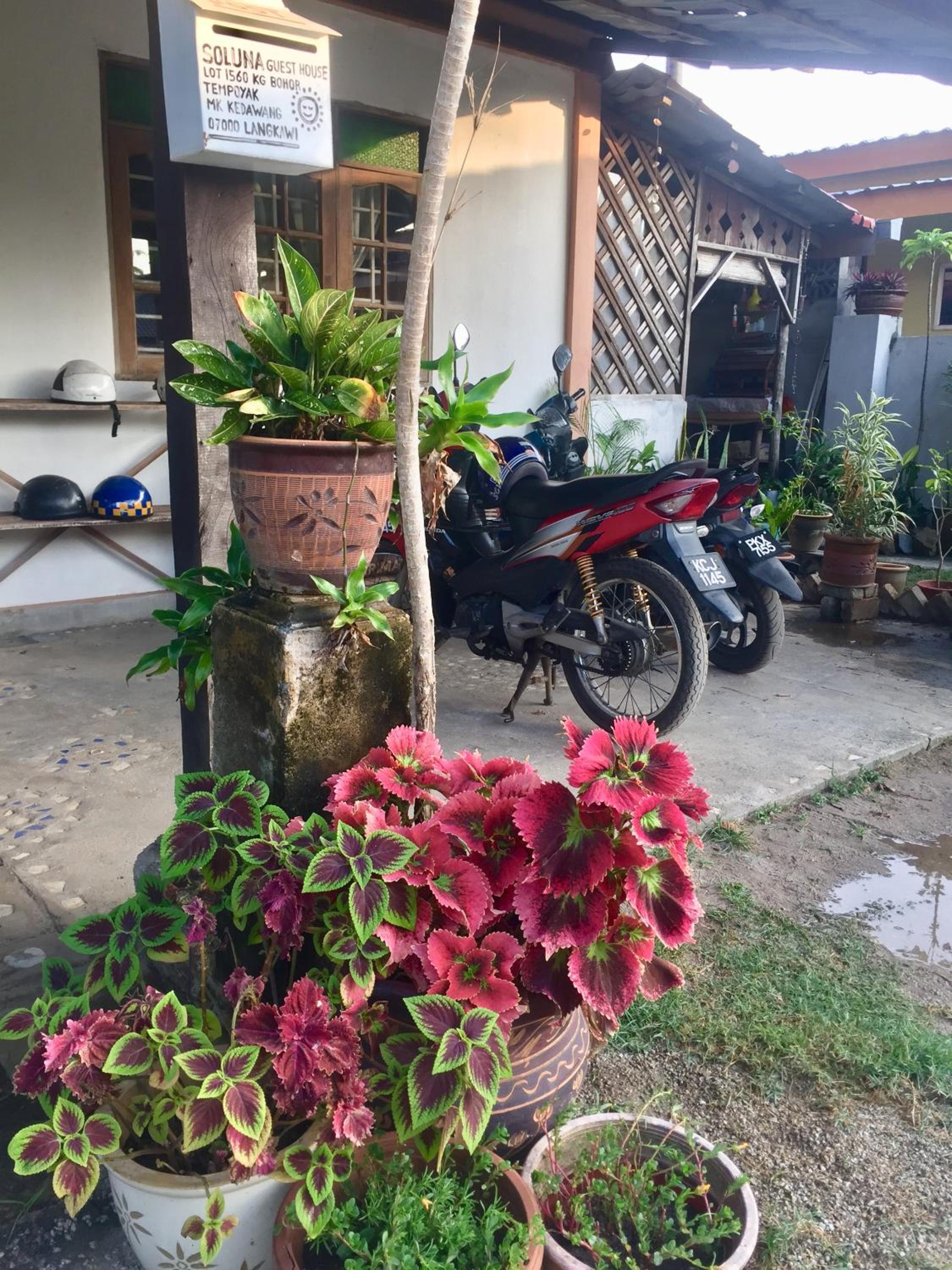 Kota Kinabalu Vacations - Soluna Guest House - Property Image 115