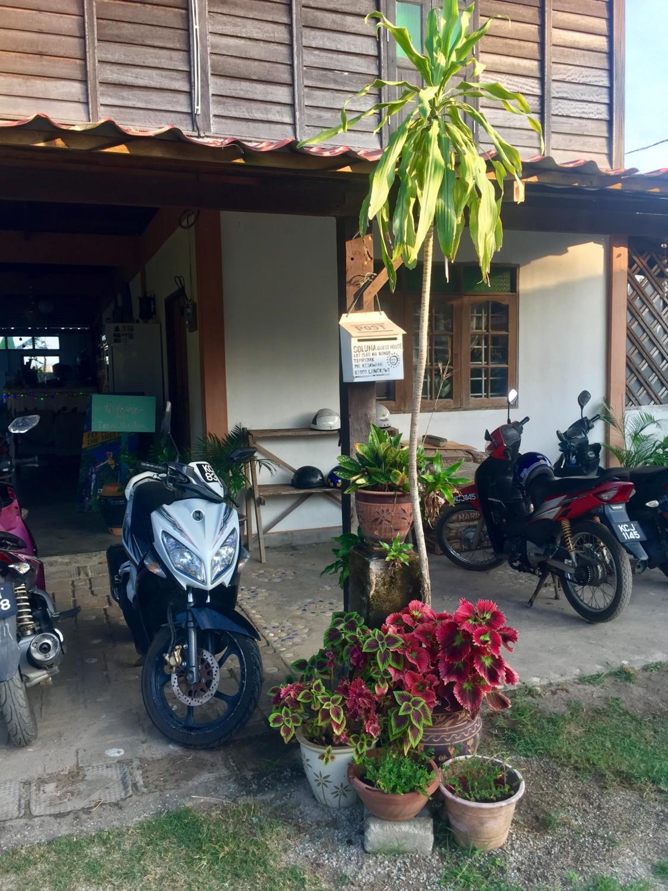 Kota Kinabalu Vacations - Soluna Guest House - Property Image 31