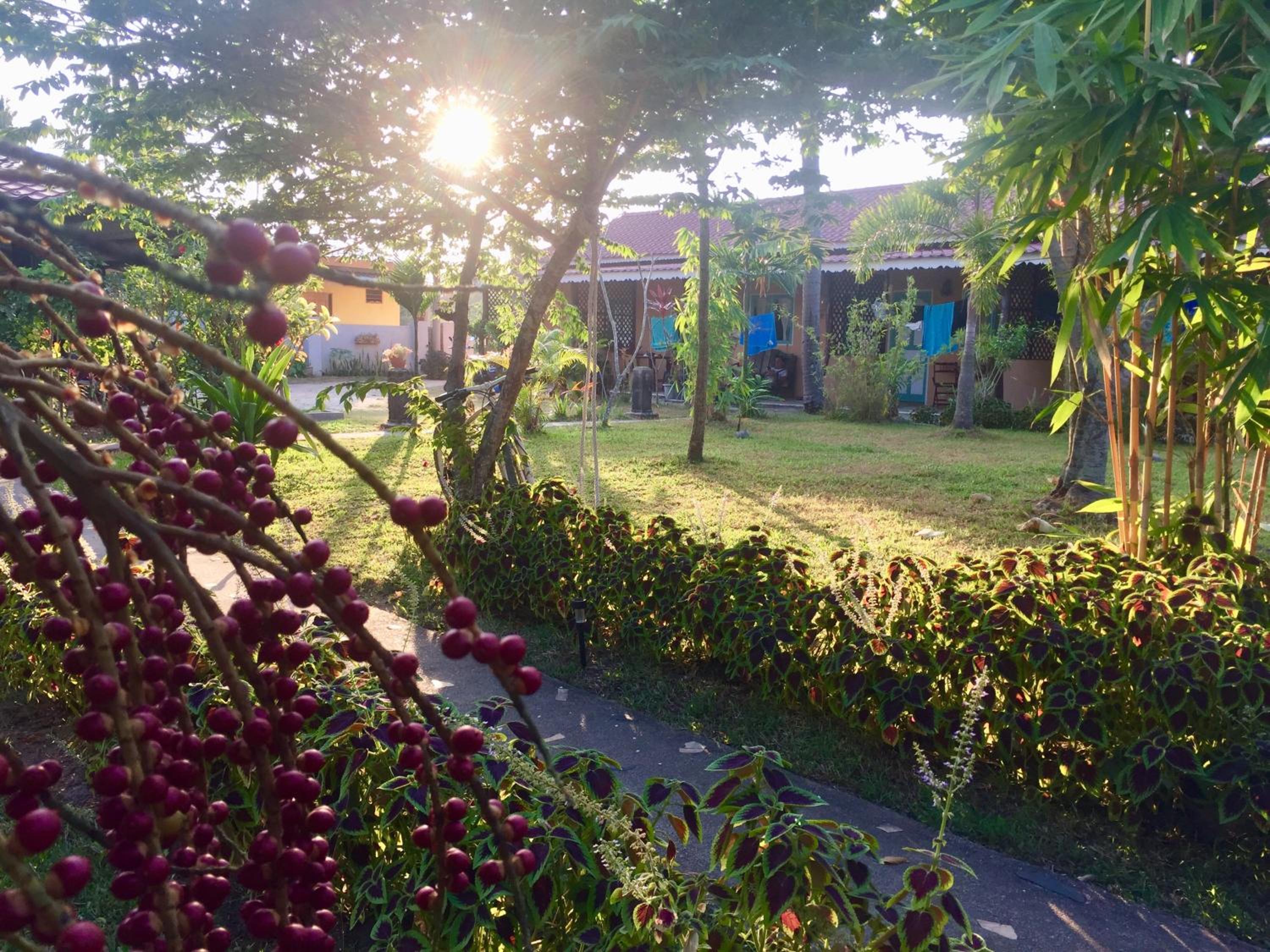 Kota Kinabalu Vacations - Soluna Guest House - Property Image 35