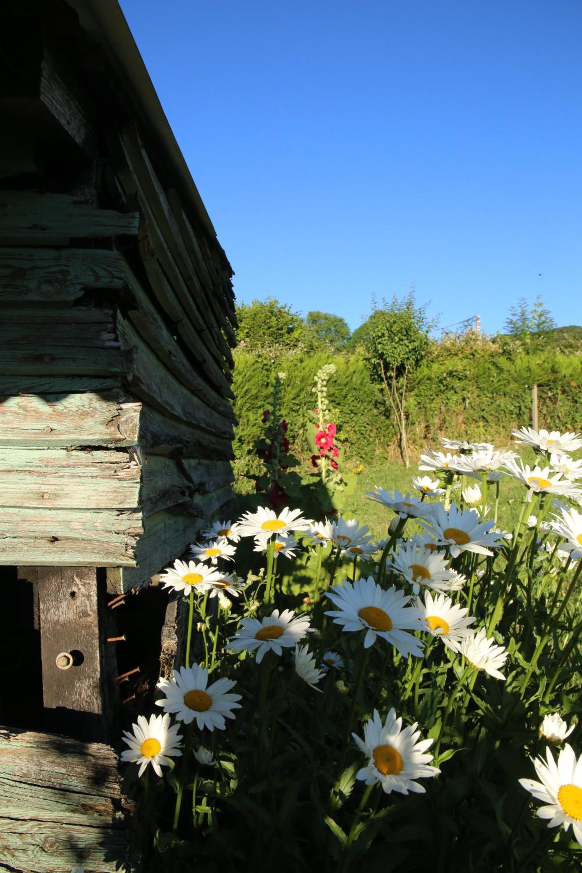 Photo 10
