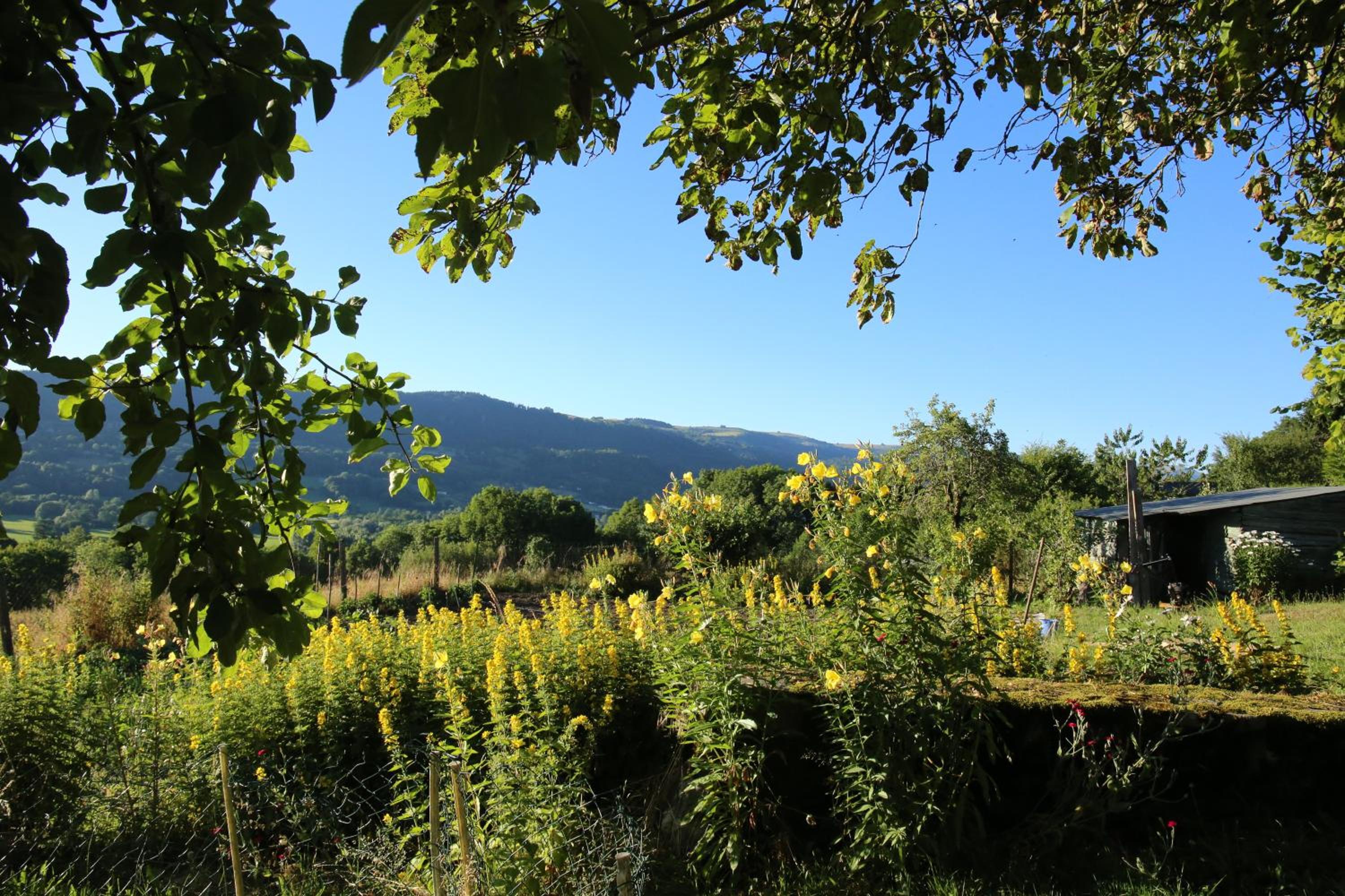 La cavalièra view 2