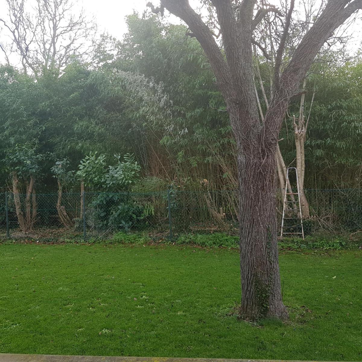 Maison architecte view 3