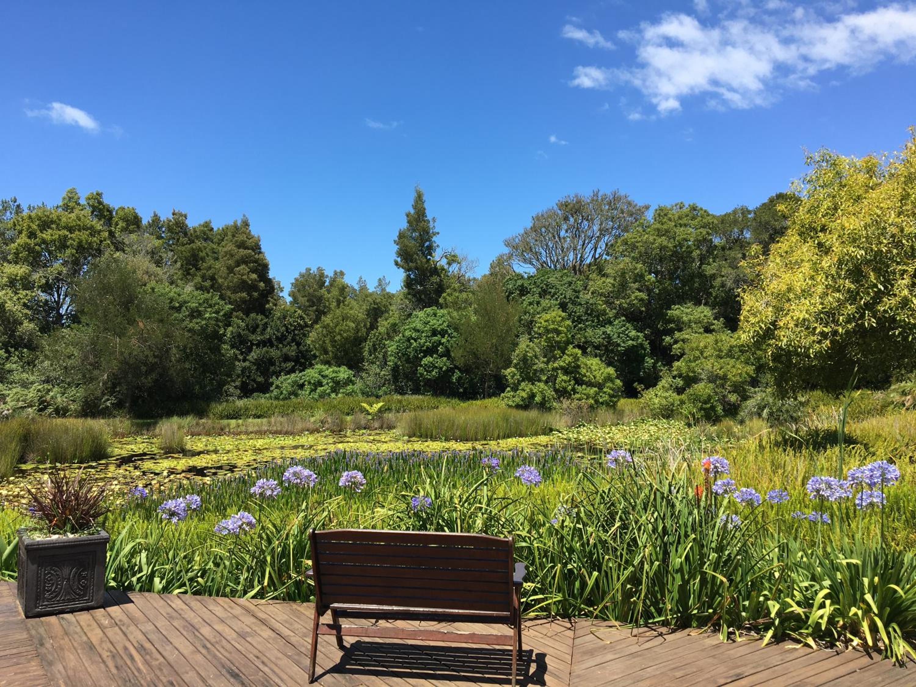 Lily Pond Country Lodge