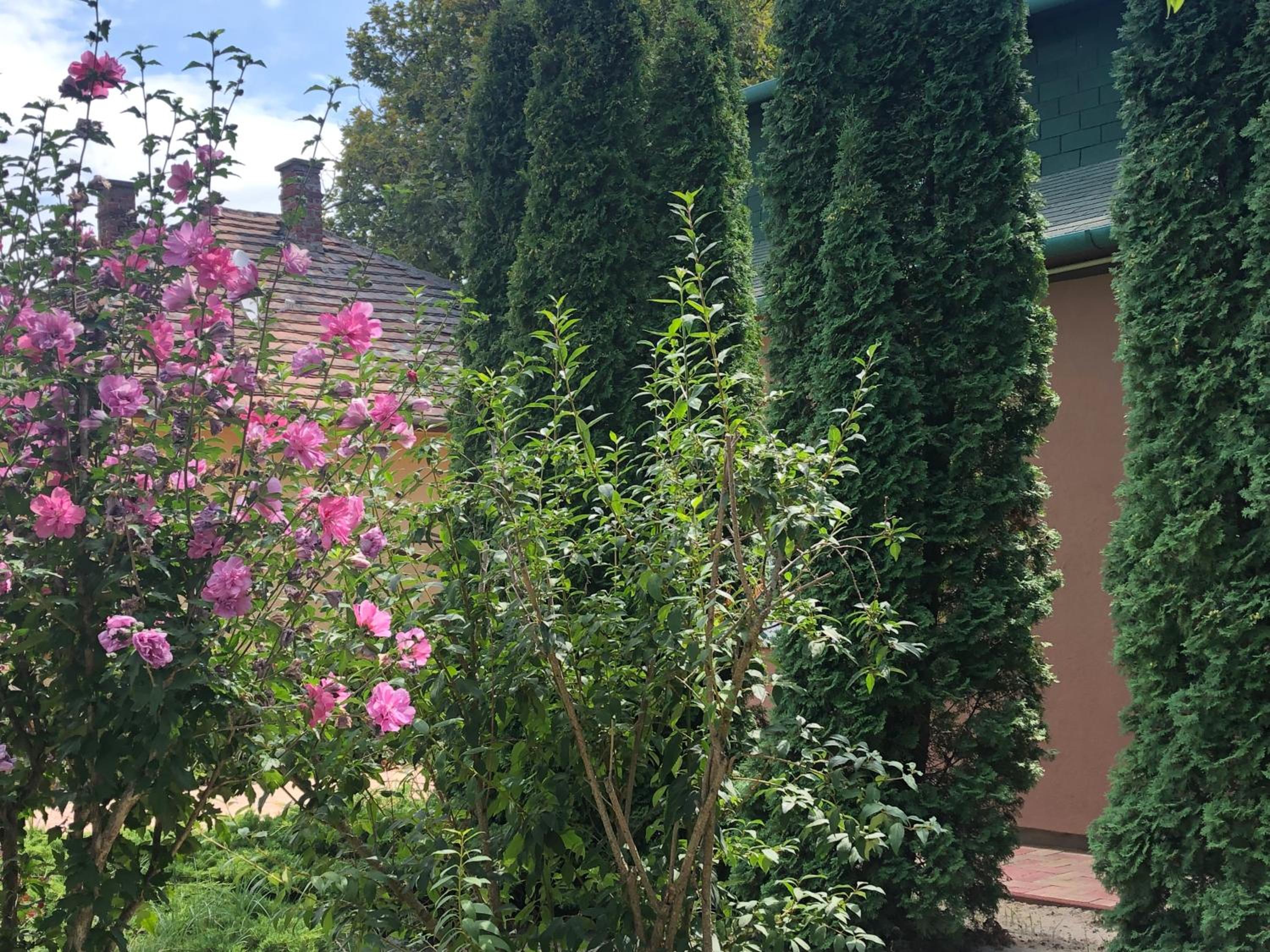 Photo 26