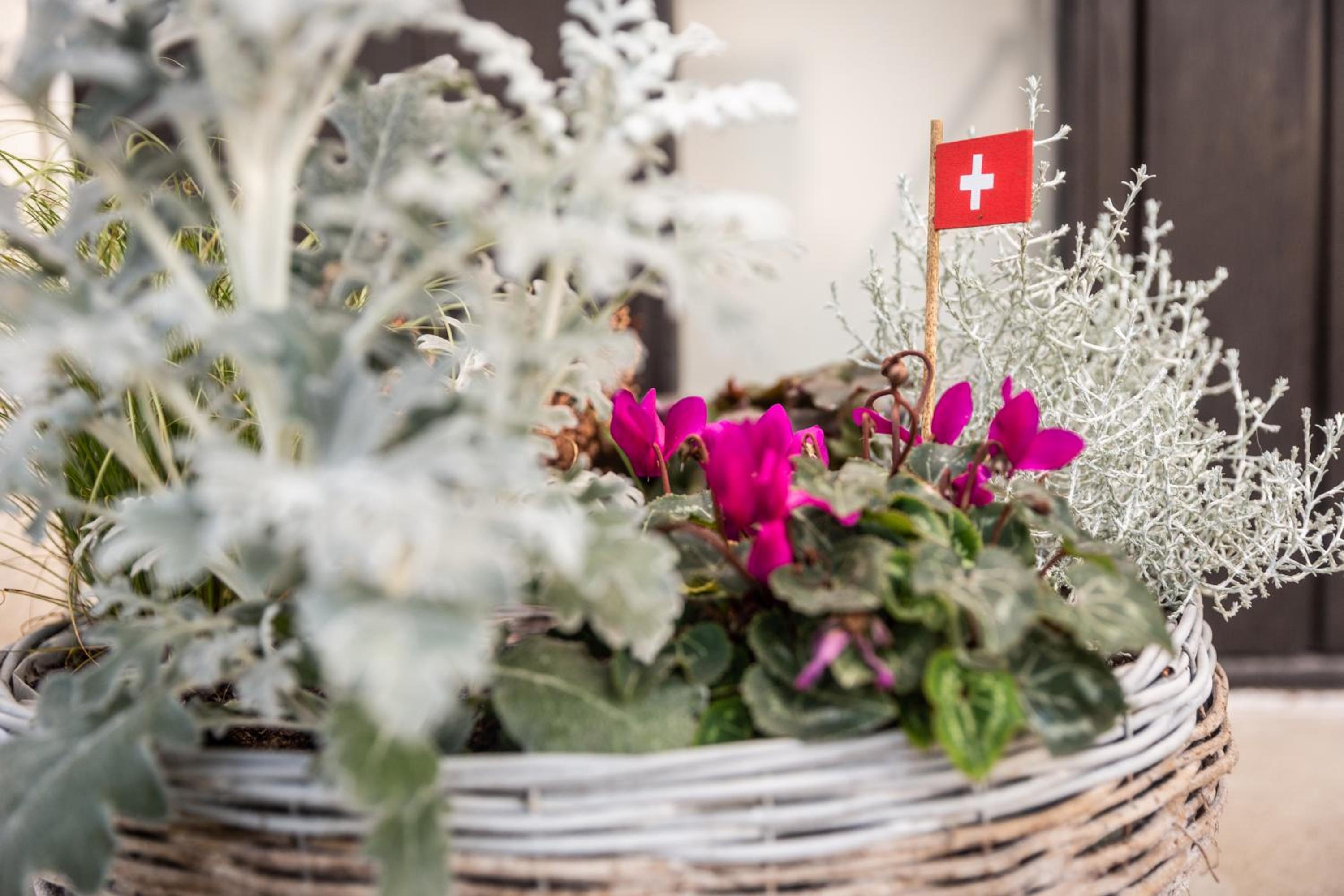 MyBednBreakfast in Bottmingen