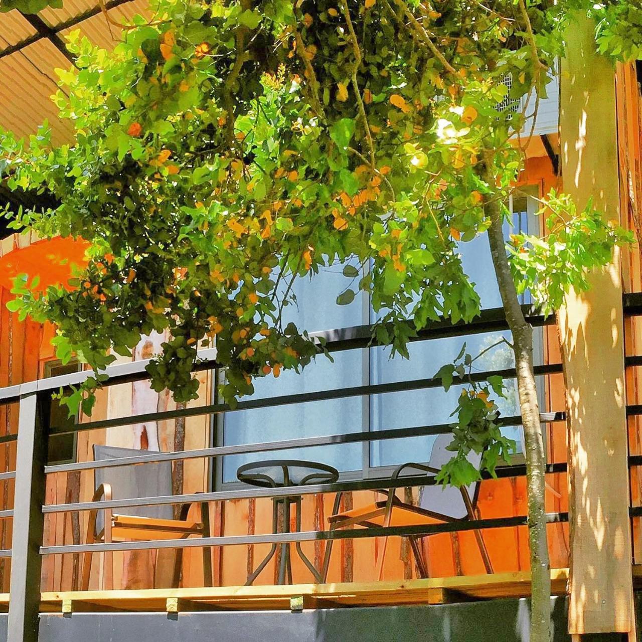 Lodge Colbún
