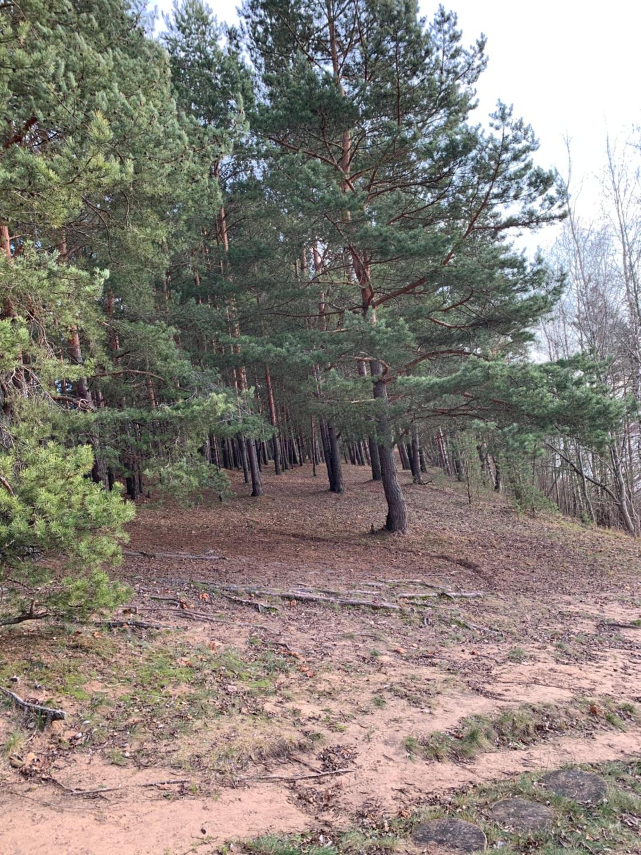 Photo 33