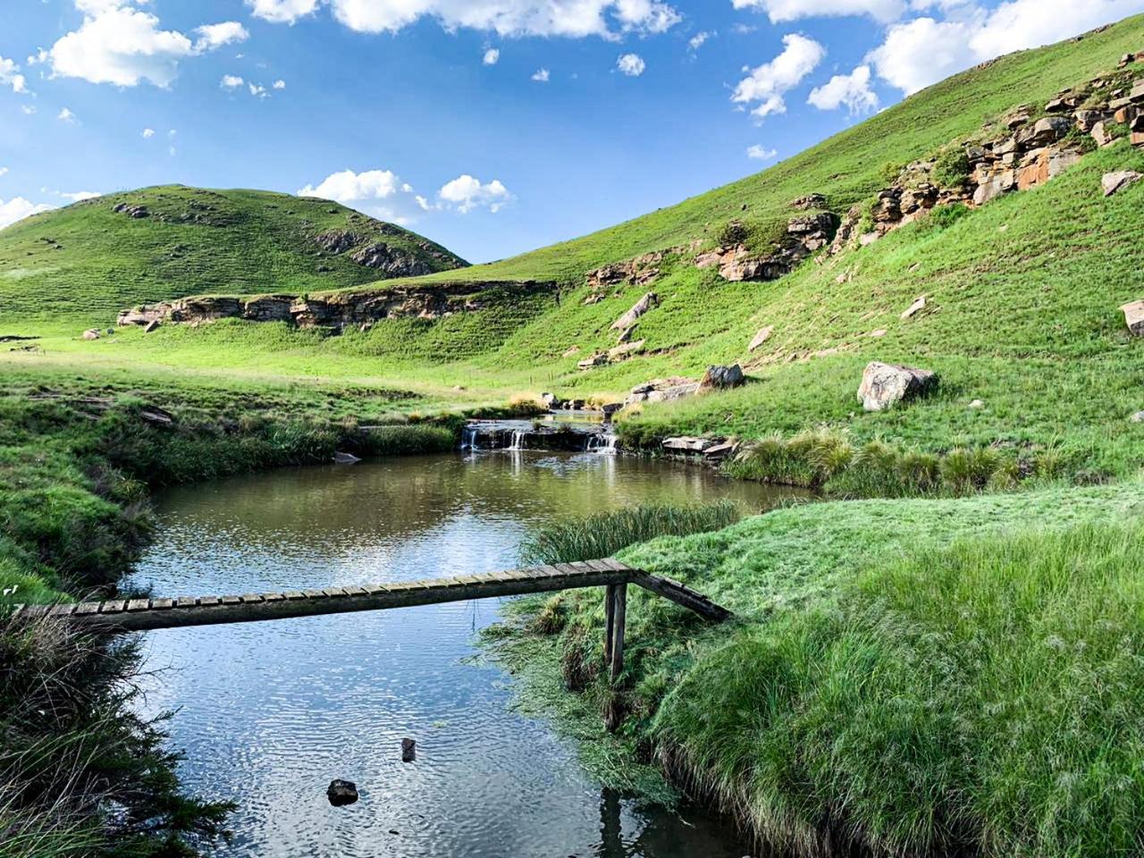 Penwarn Farm