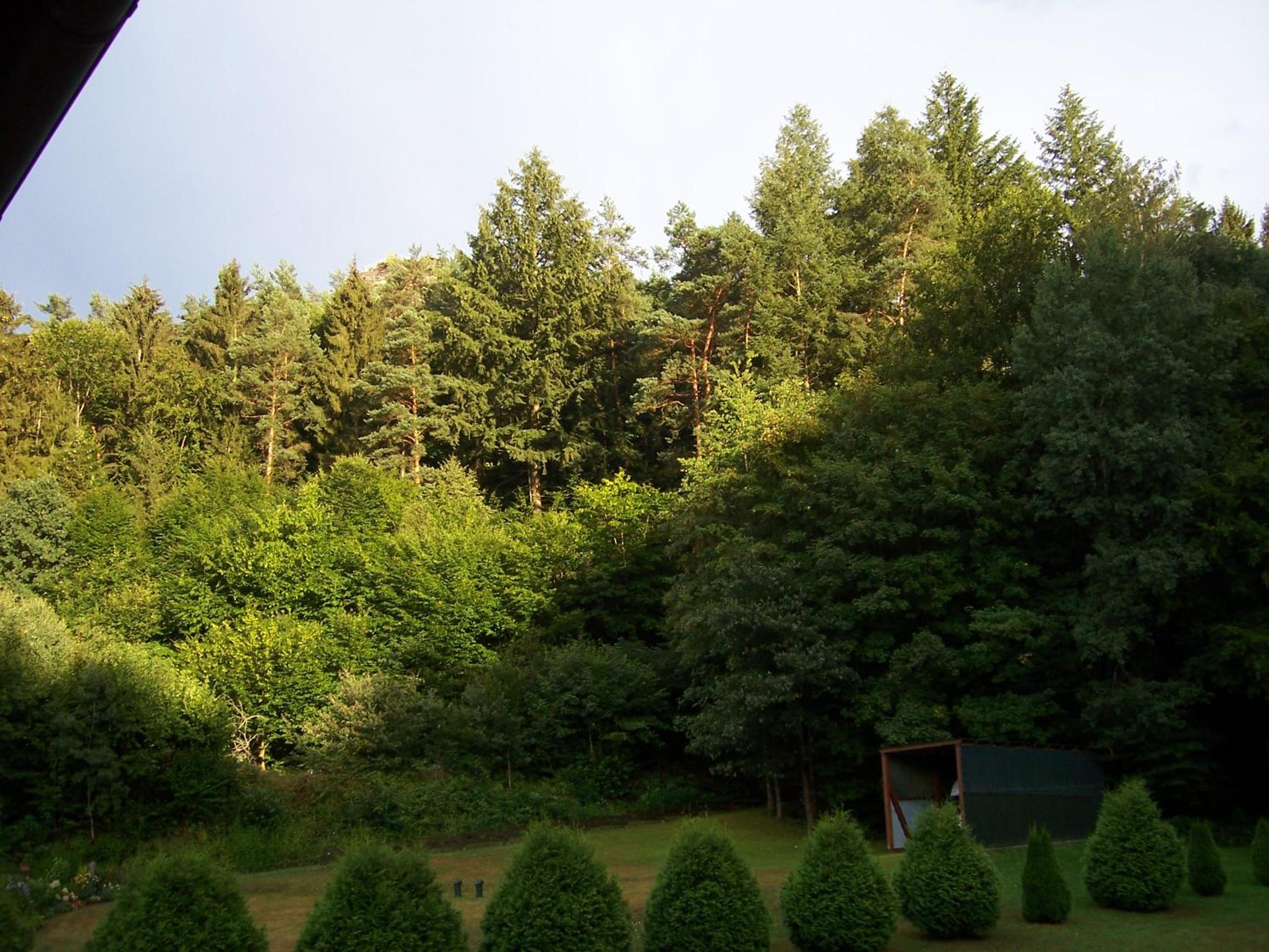 Ferienwohnung am Pfaffenfels view 3