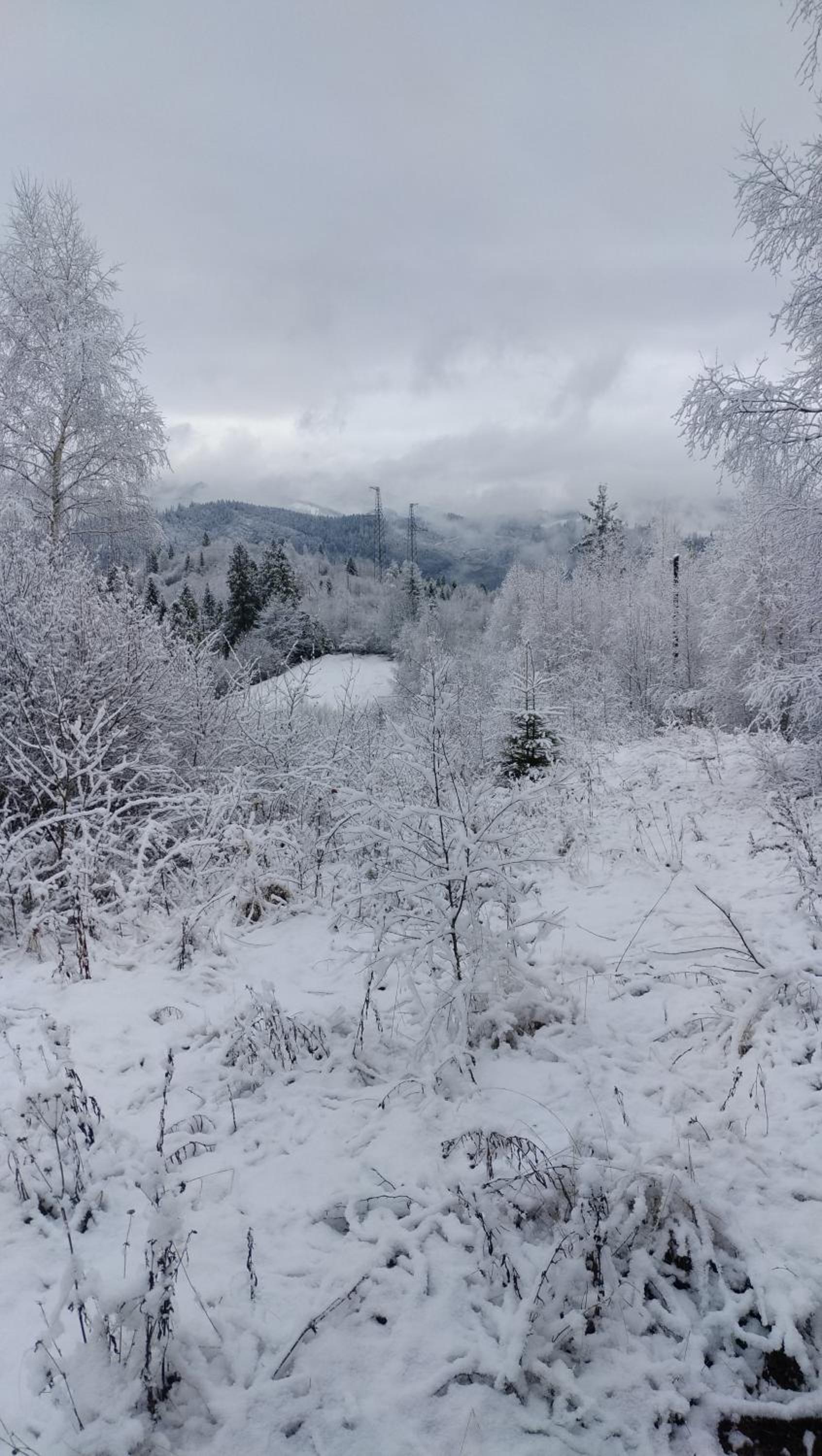 Zacharovany Karpaty view 4