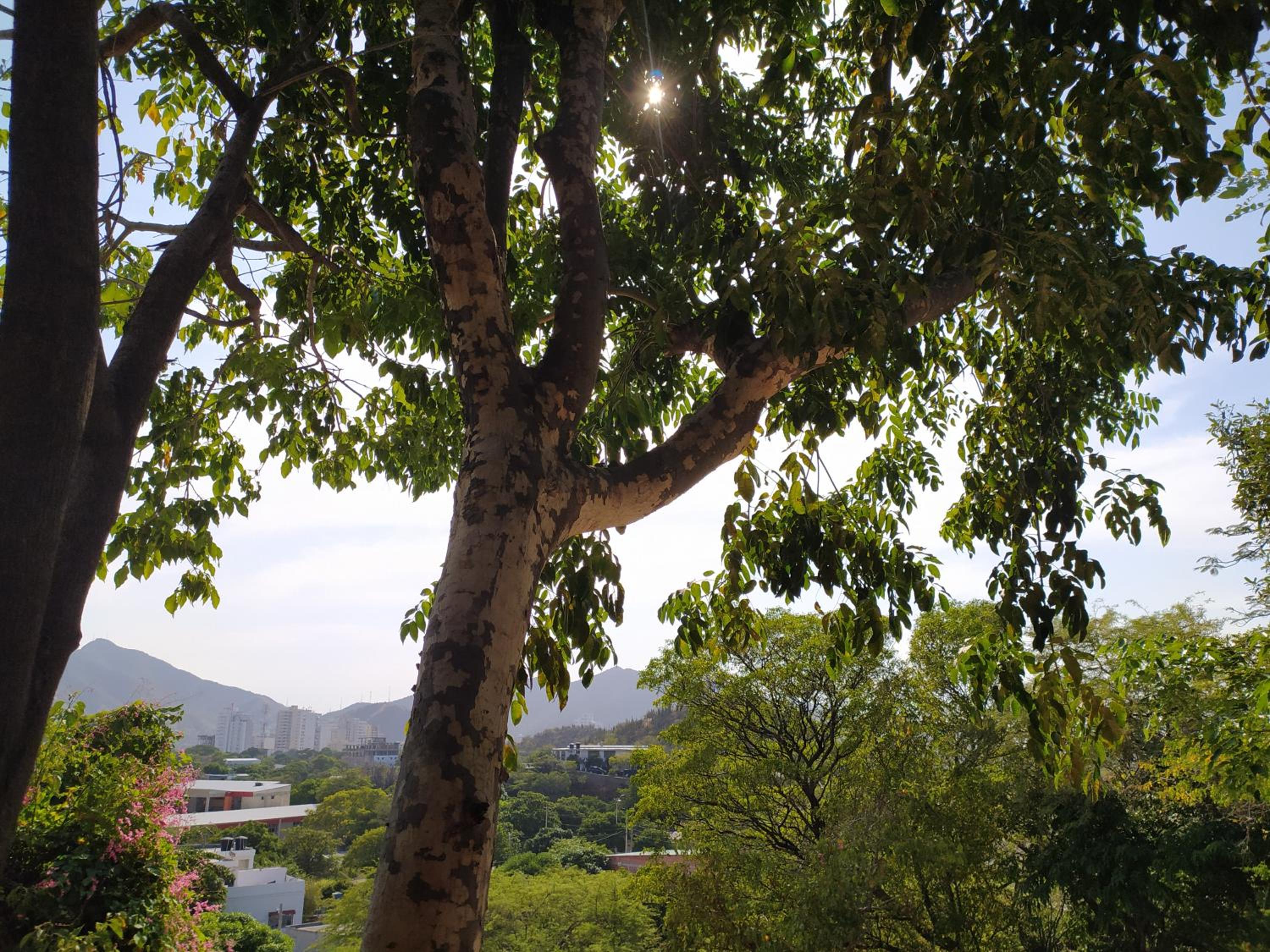 Jardin Etnobotanico Villa Ludovica