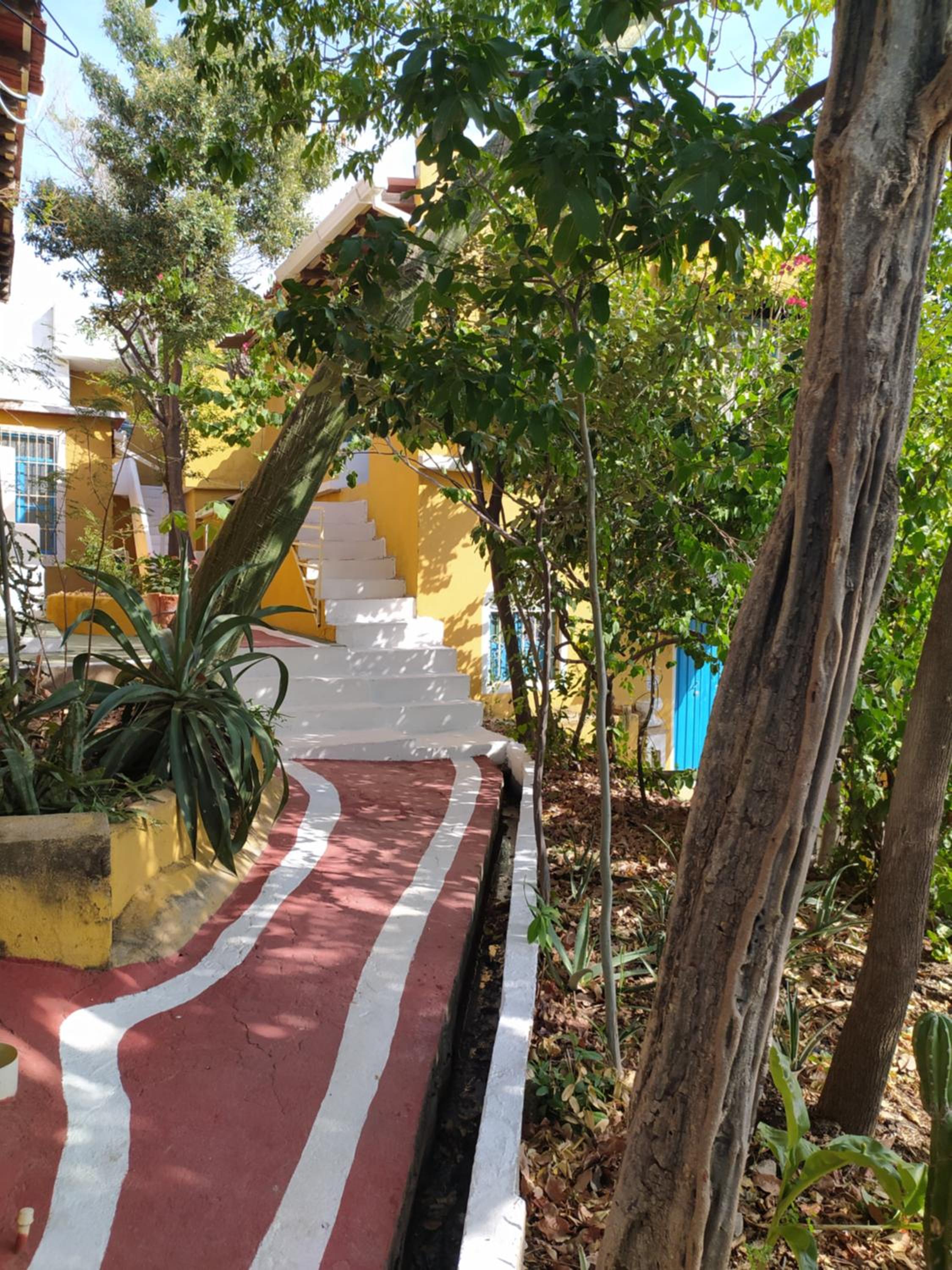 Jardin Etnobotanico Villa Ludovica