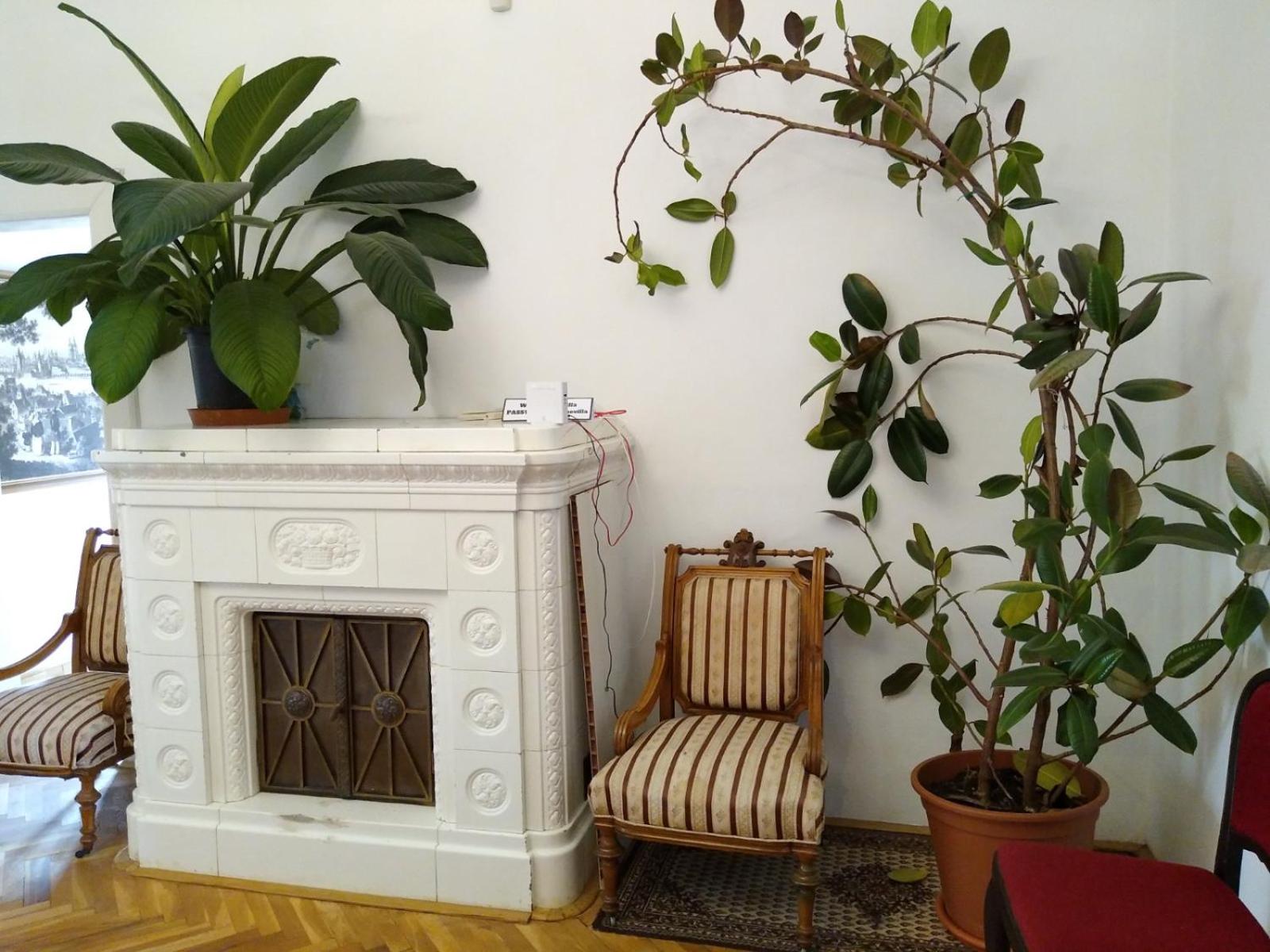 Rooms in Prague-BIG+Comfy