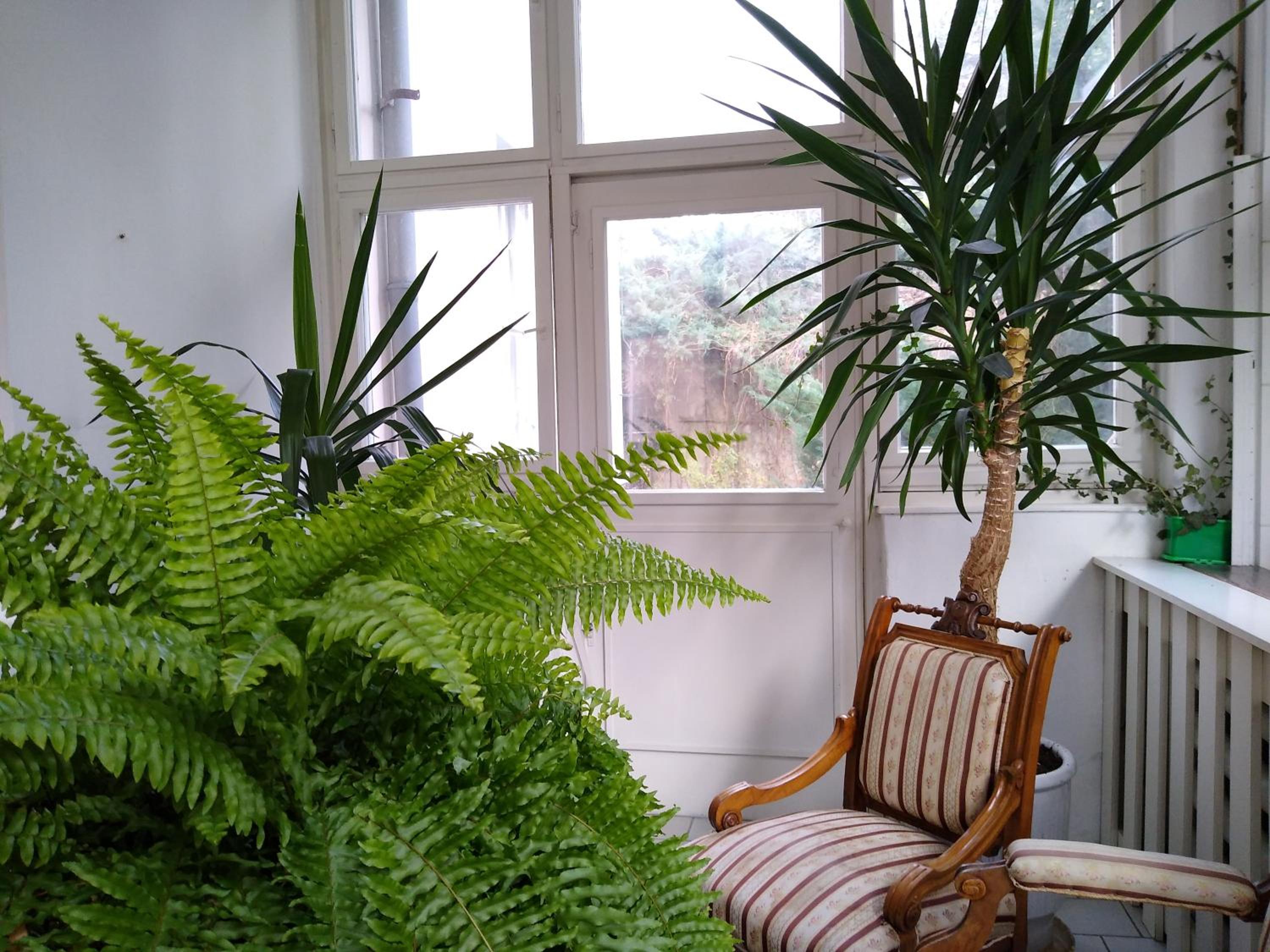 Rooms in Prague-BIG+Comfy