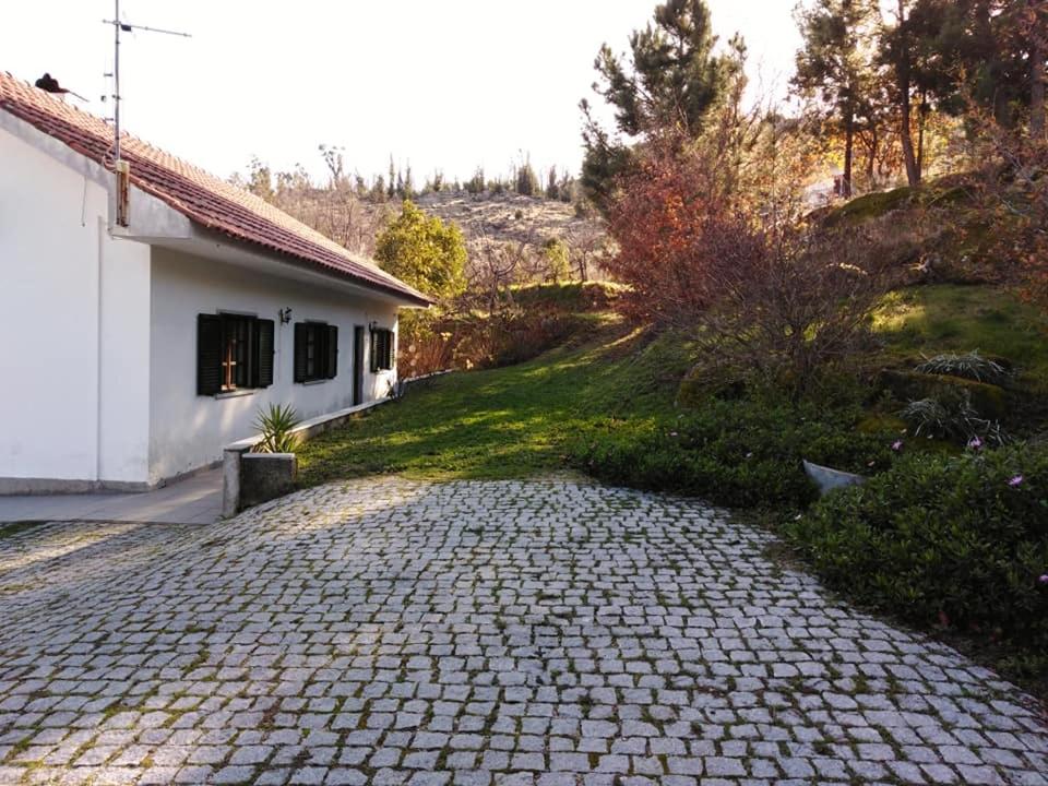 Photo 47