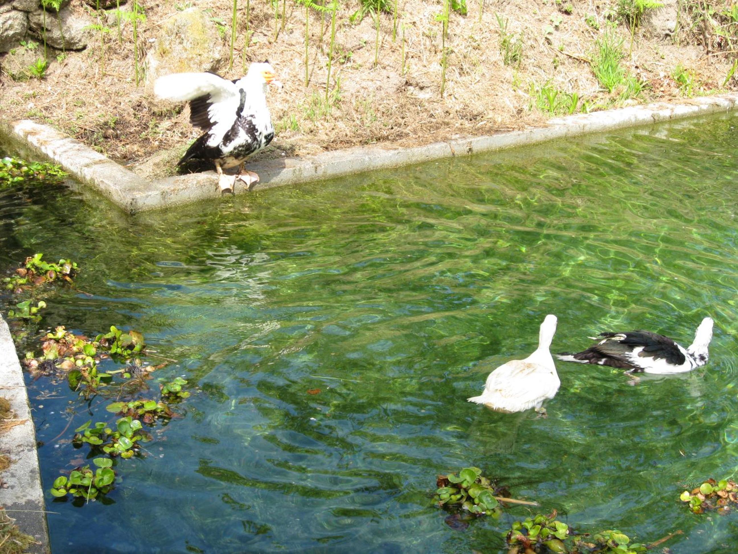 Photo 40