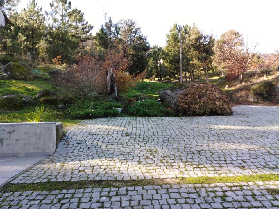 Photo 45