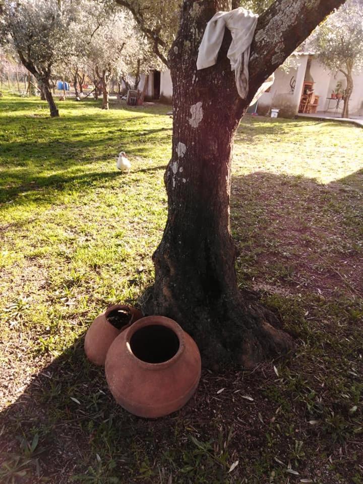 Photo 48