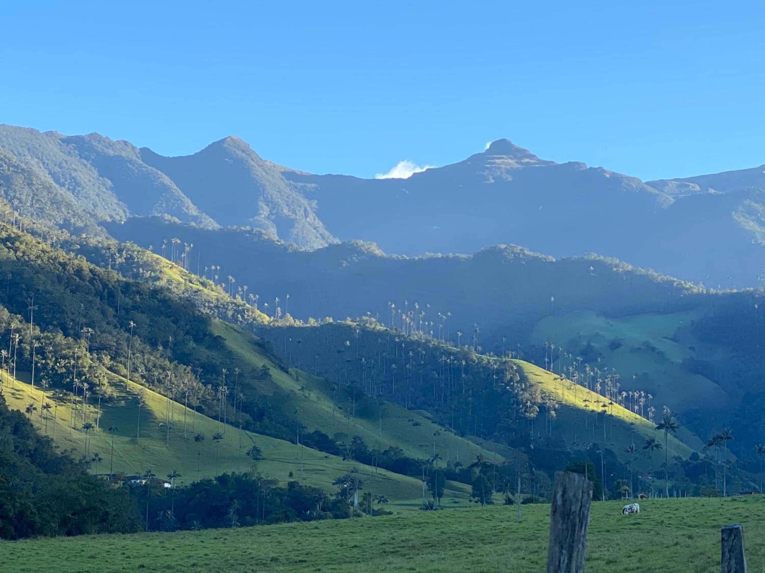 Refugio Nidos del Condor Cocora