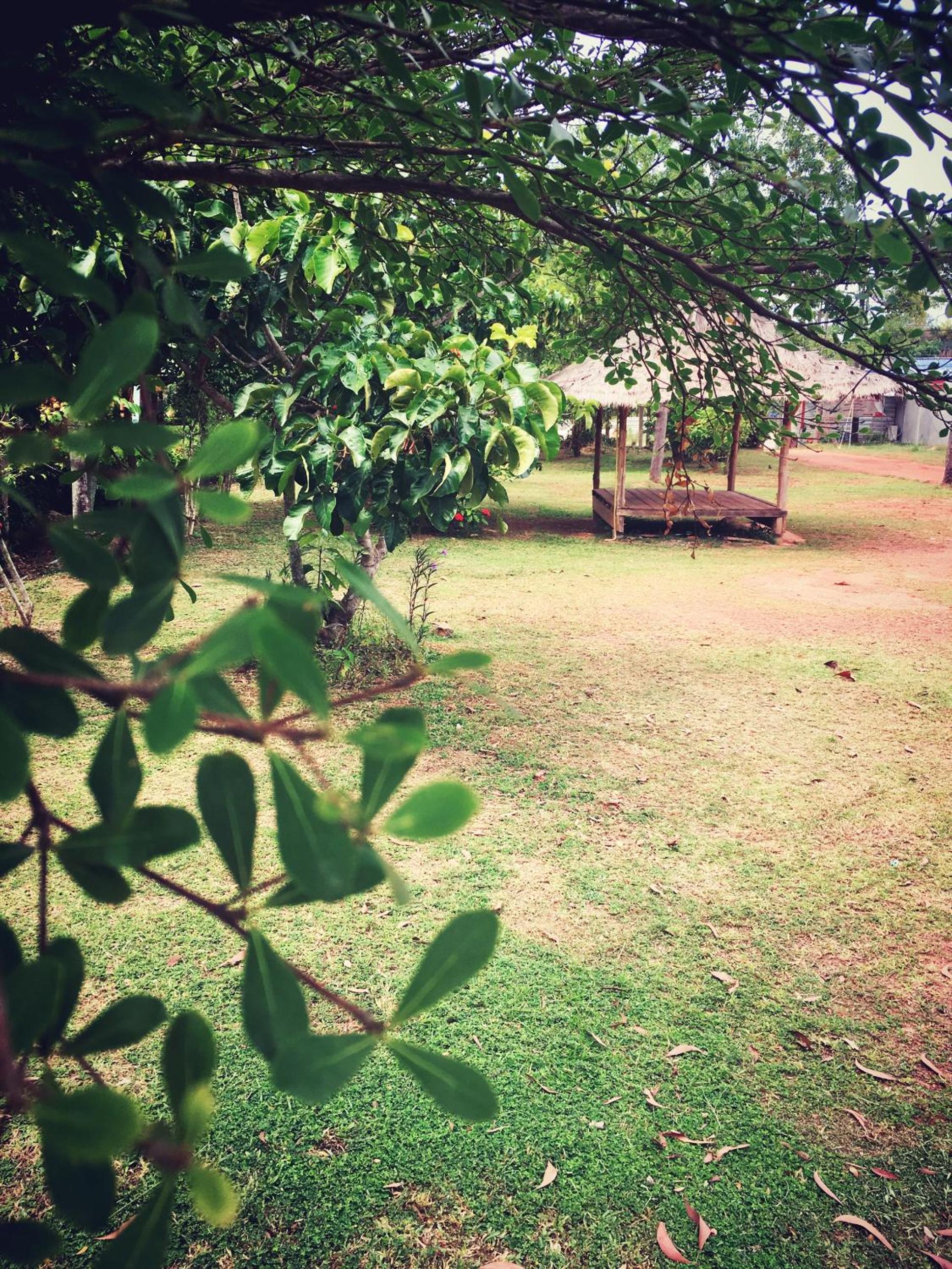 Photo 48