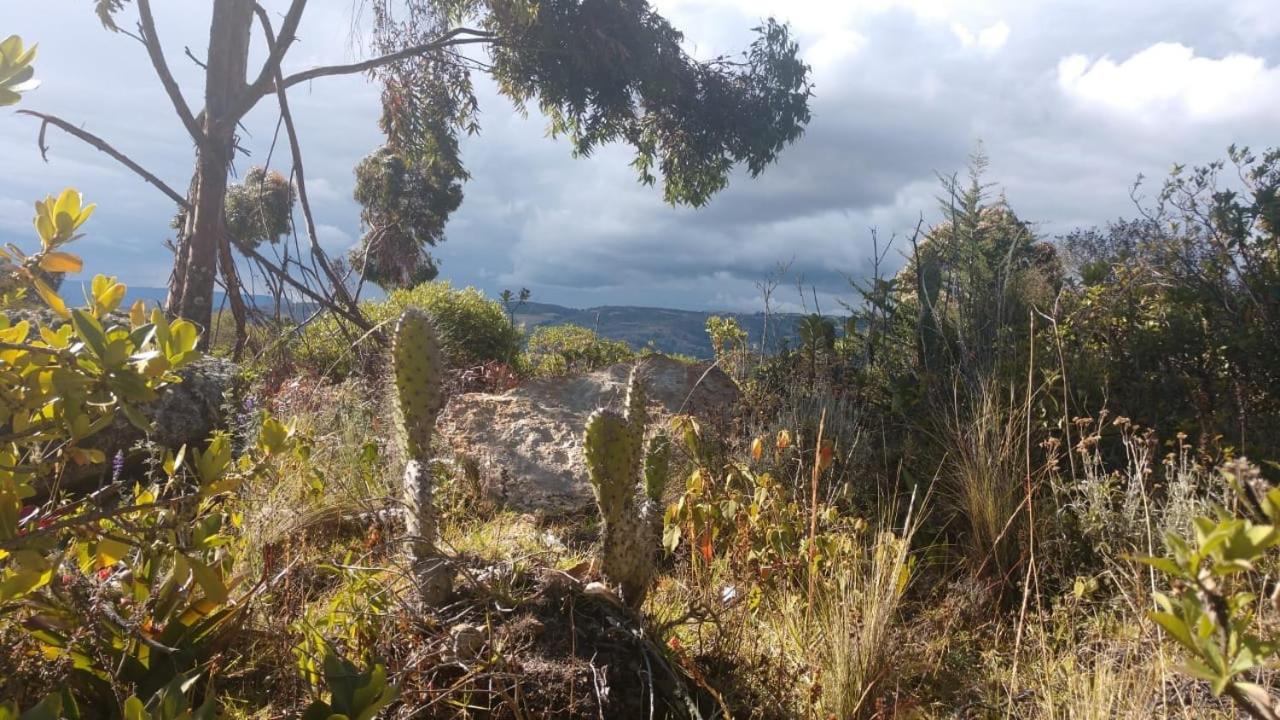 La Casona Cucaita. Sede Campestre