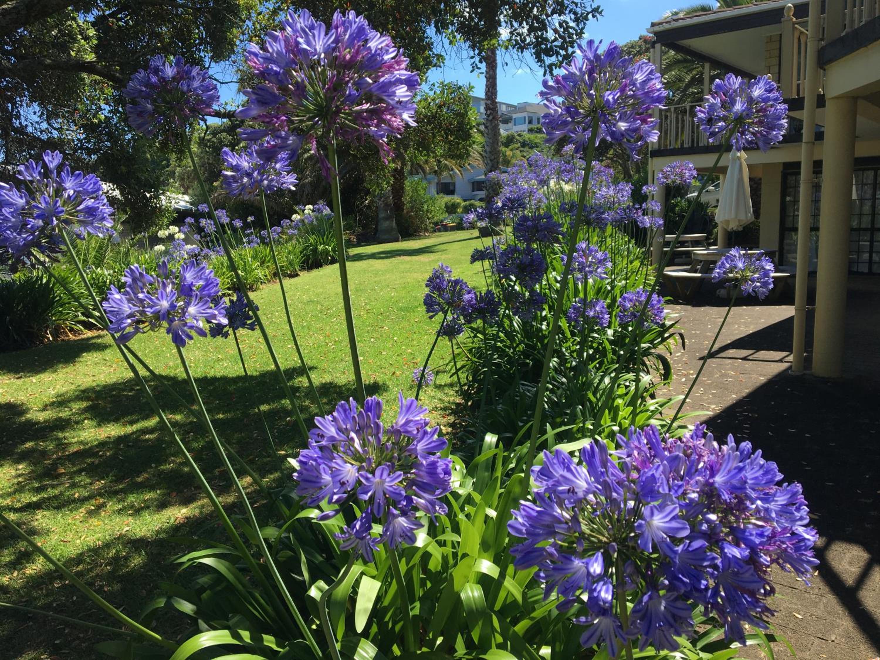 Half Moon Bay Motel