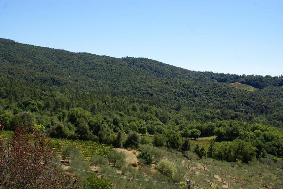 Sandrine Serpentine - Valleranum view 2