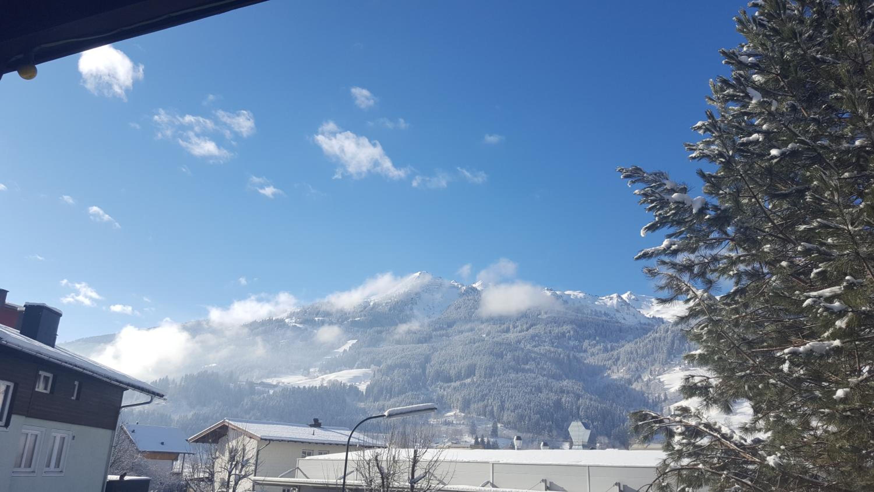 Alpen-Appartementhof