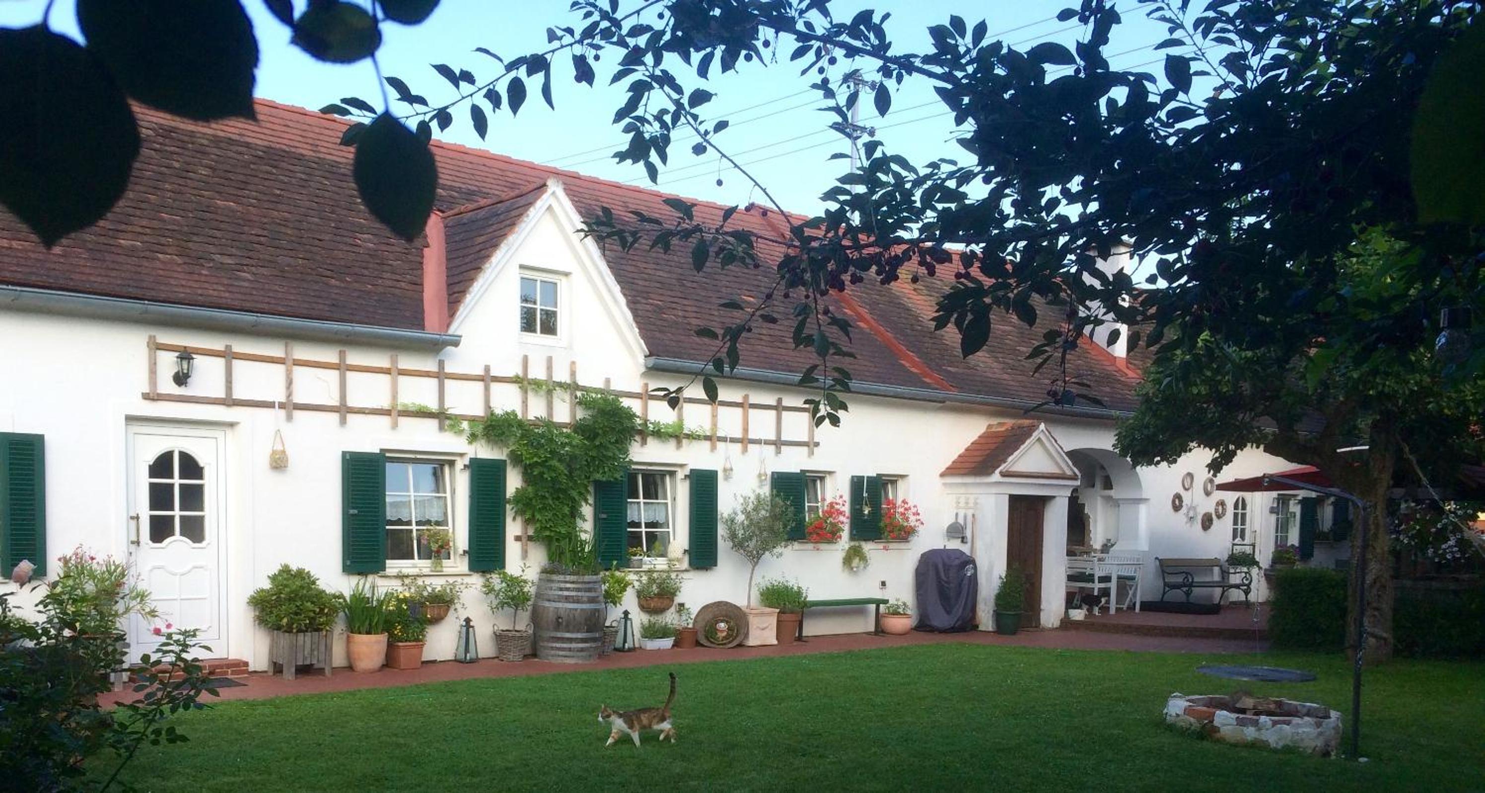 Bed & Breakfast Chez Lips
