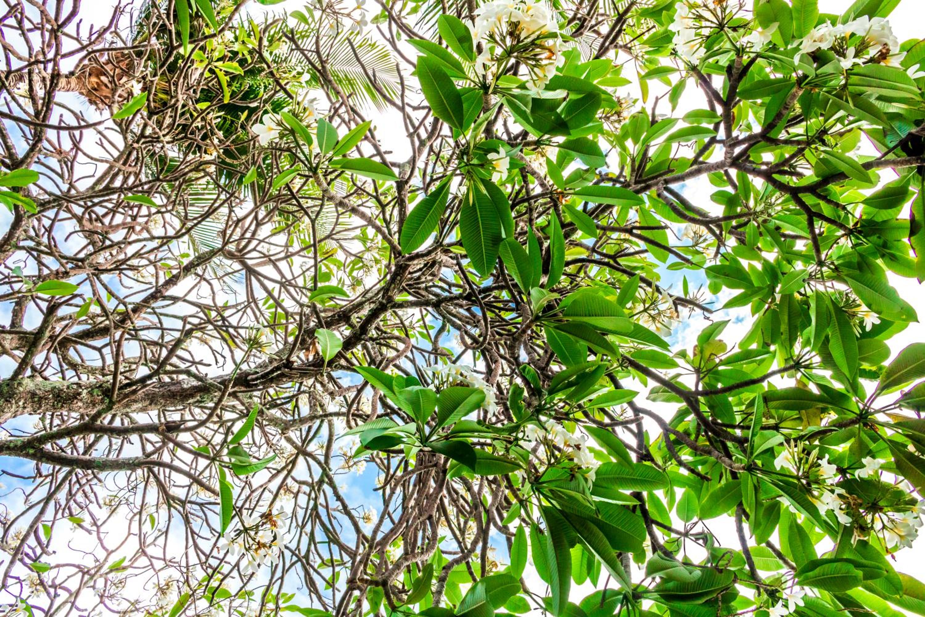 Farol de Itapuã Praia Hotel