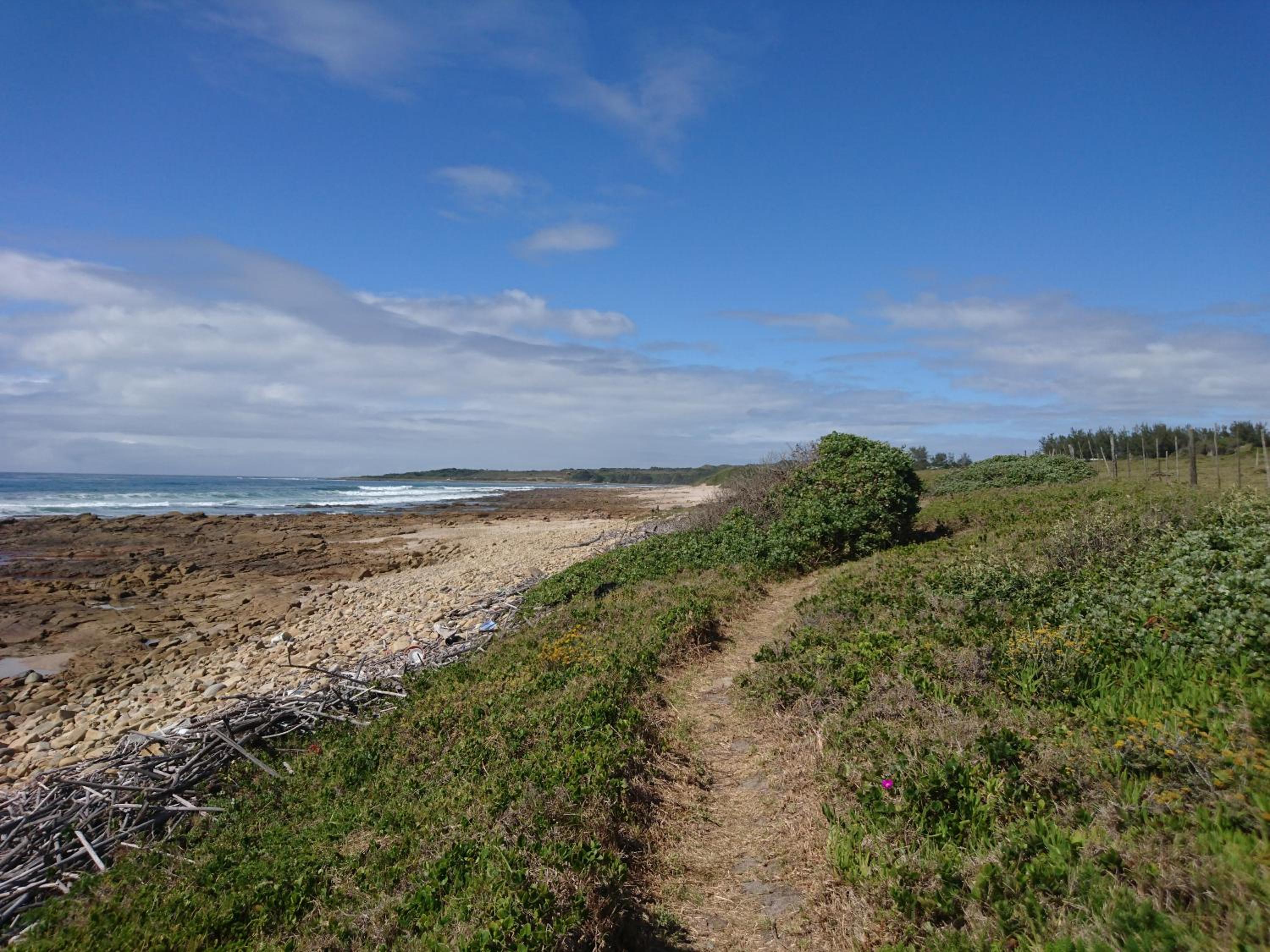 Photo 7