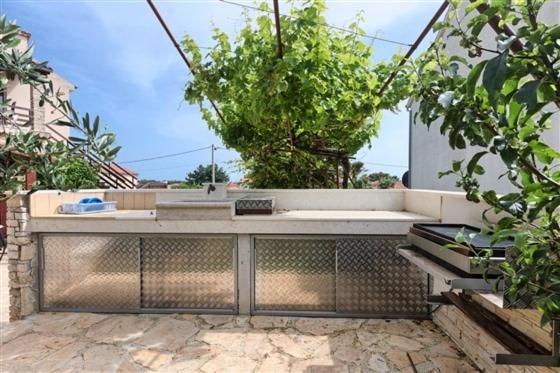 Apartment Olive tree view 4