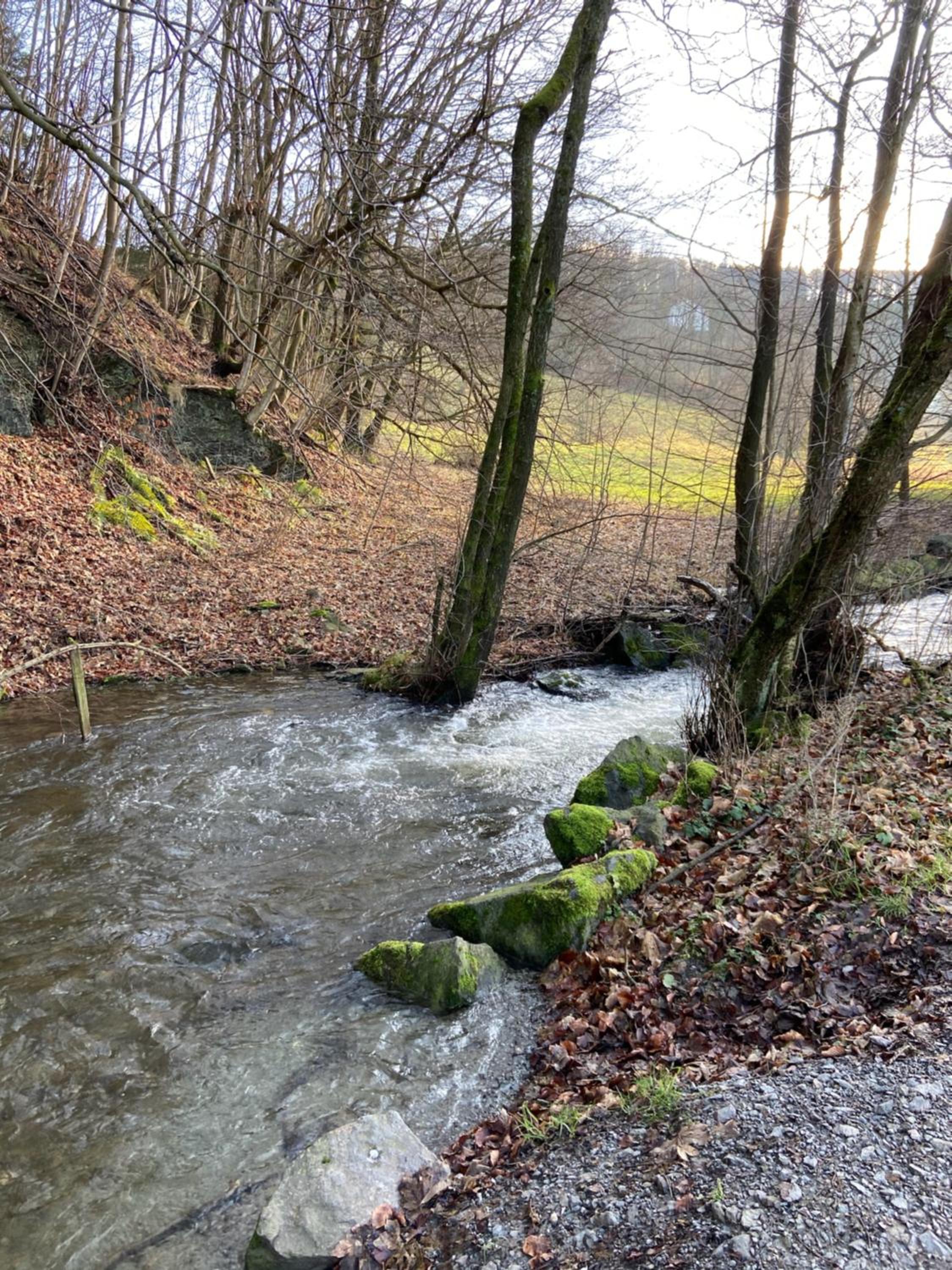 Ferienwohnung am Itterbach