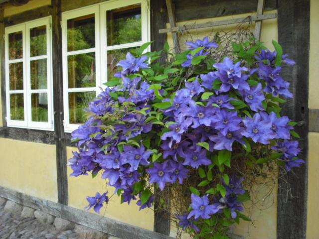 Landhaus Kiesow view 3