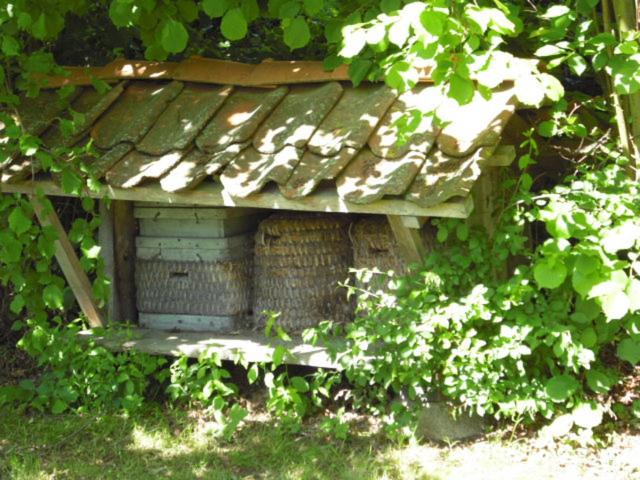 Landhaus Kiesow view 5